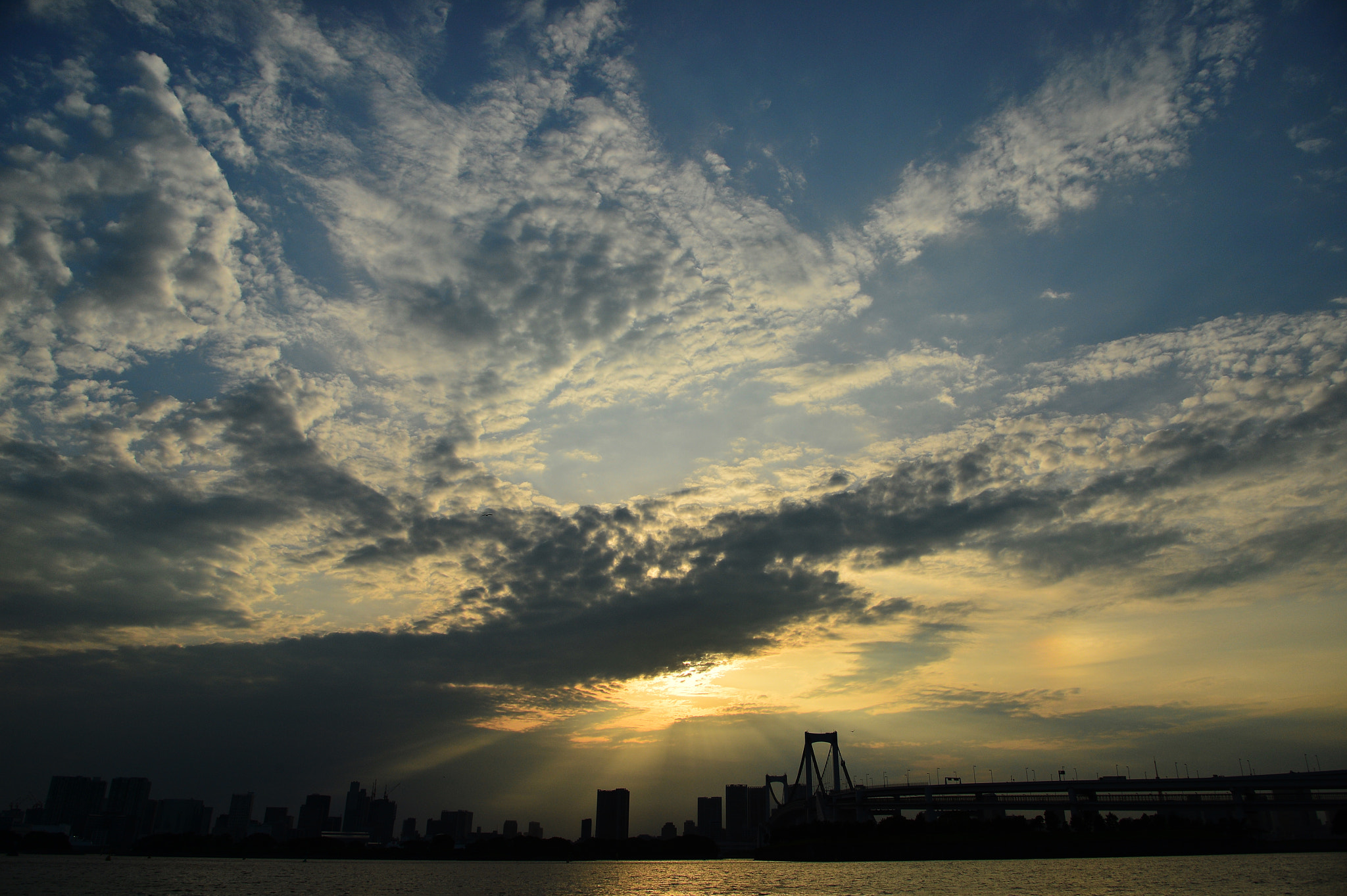 Nikon Df sample photo. Tokyo rainbow bridge ② photography