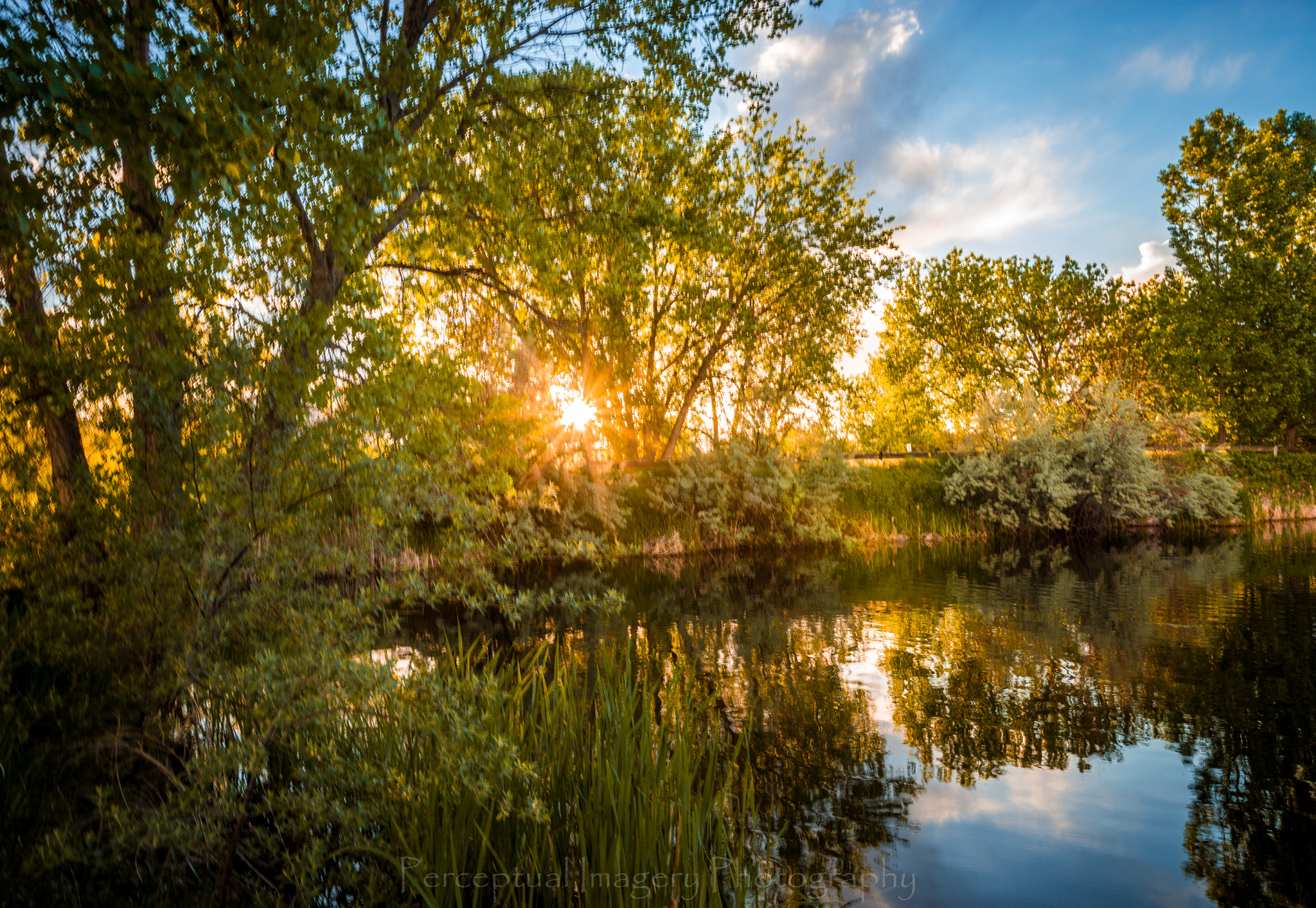 Sony a99 II + Minolta AF 17-35mm F3.5 G sample photo. Fort collins co..... photography