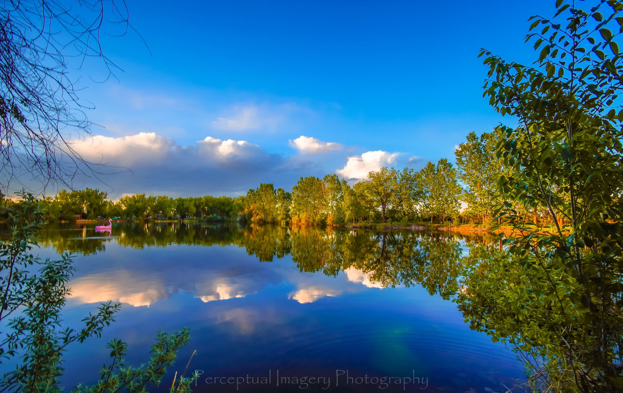 Sony a99 II sample photo. Fort collins co..... photography