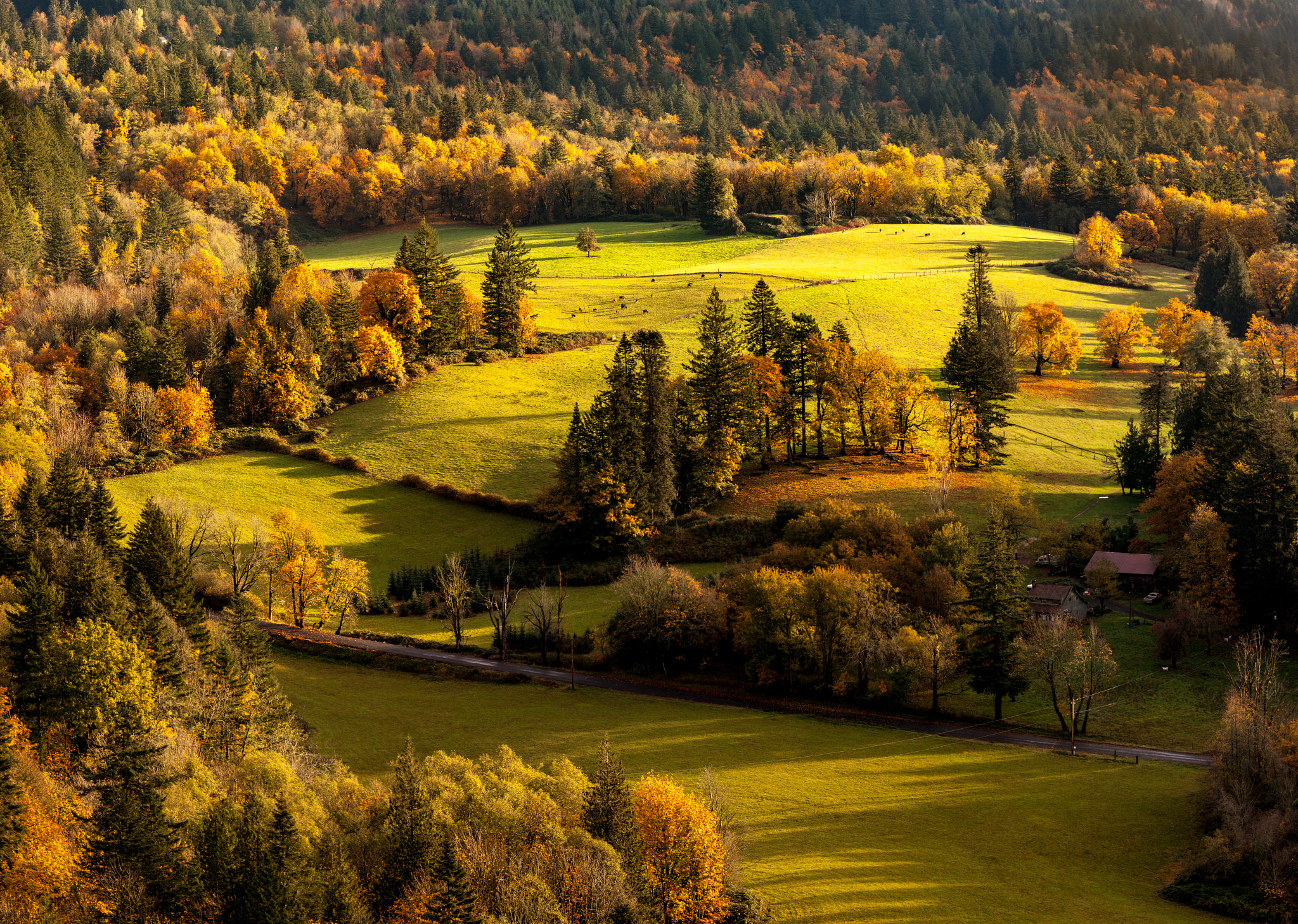 Canon EF 75-300mm f/4-5.6 USM sample photo. Autumn pasture photography