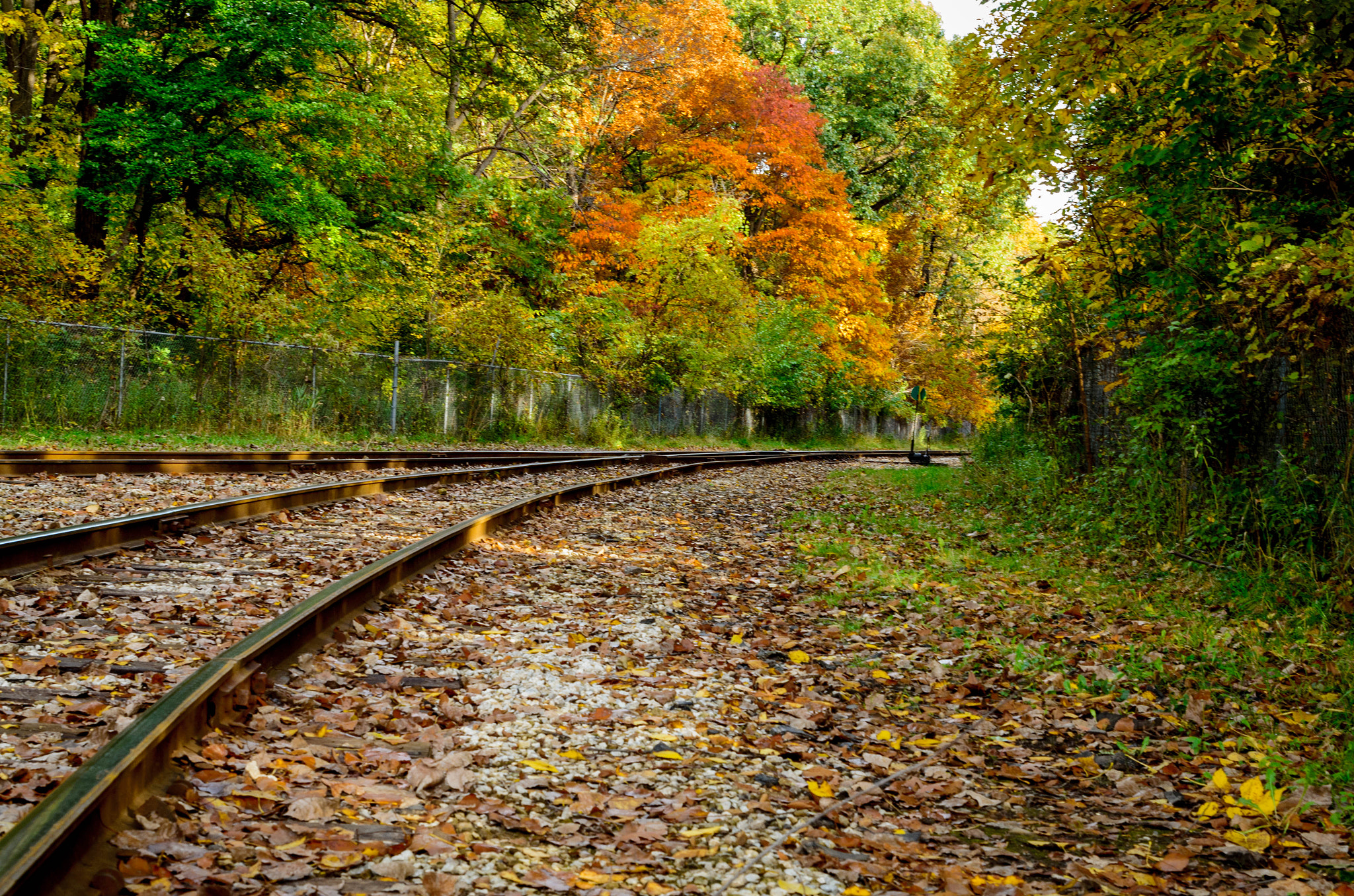 Sigma 24-70mm F2.8 EX DG HSM sample photo. Colourful fall railroads photography