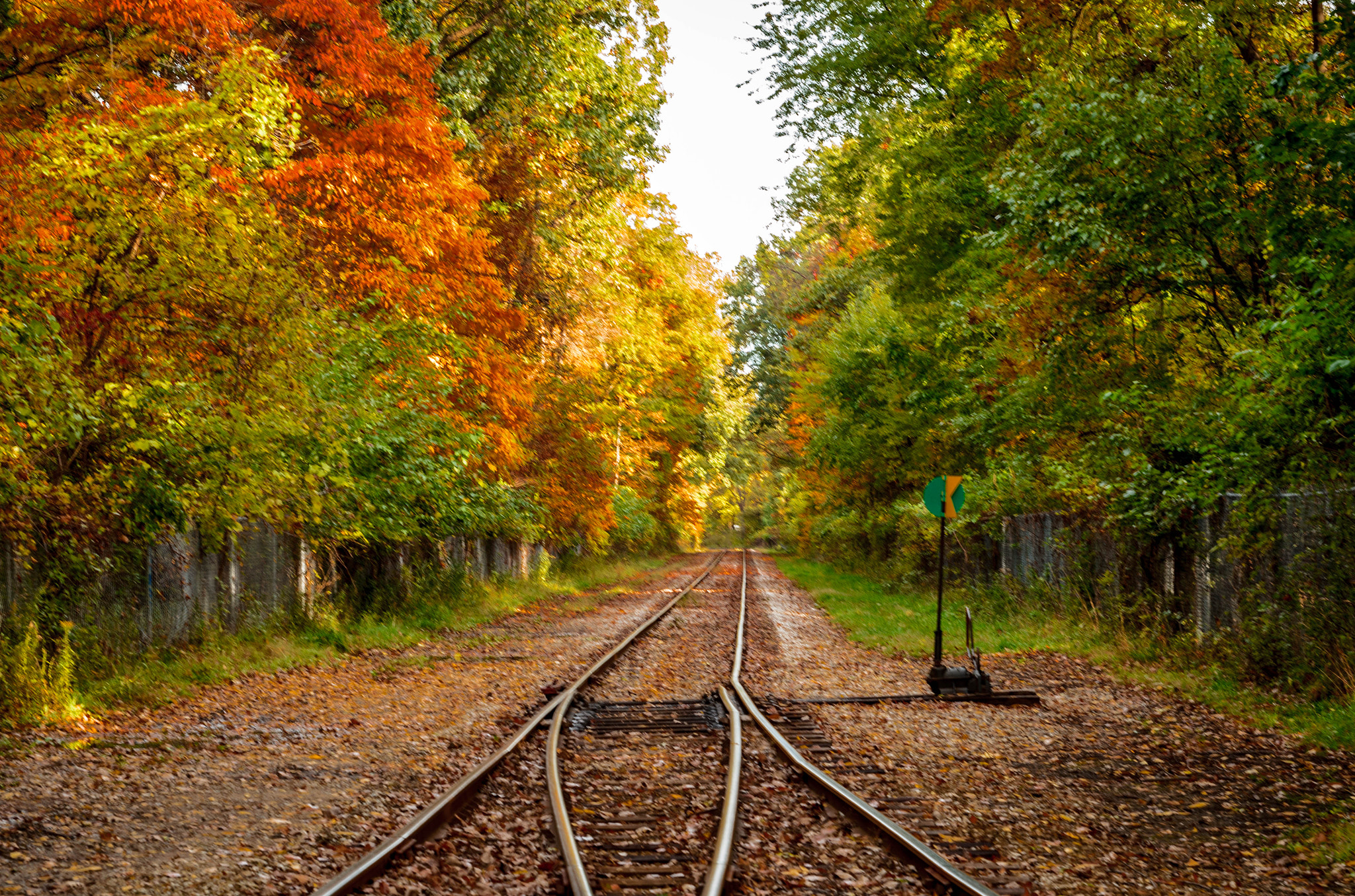 Sigma 24-70mm F2.8 EX DG HSM sample photo. Colourful fall railroads photography