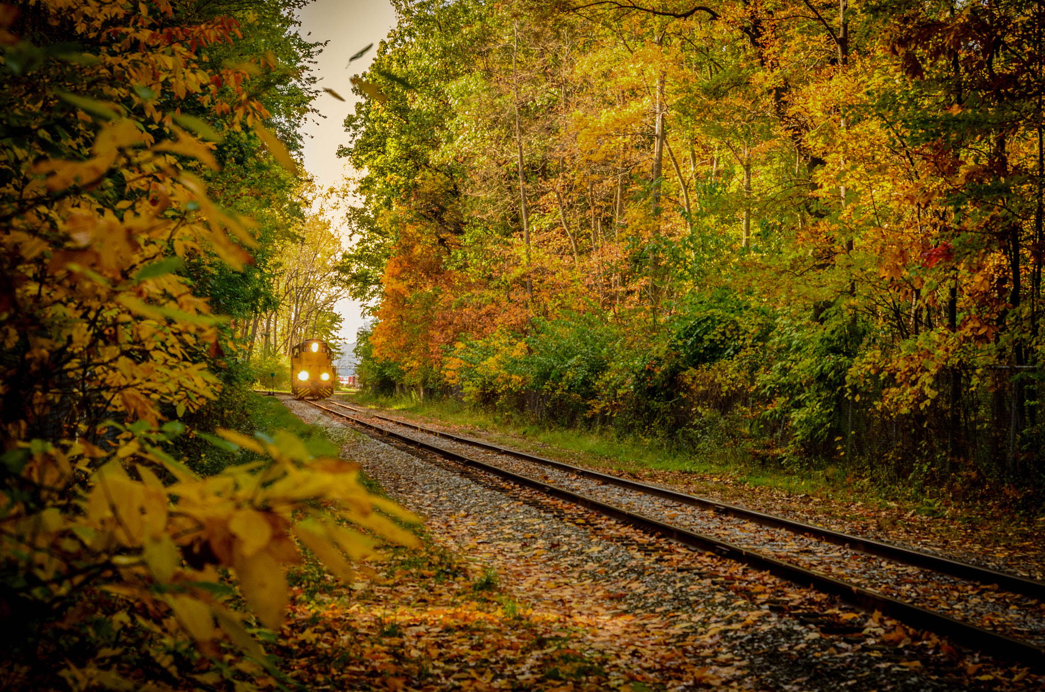 Sigma 24-70mm F2.8 EX DG HSM sample photo. Colourful fall railroads photography