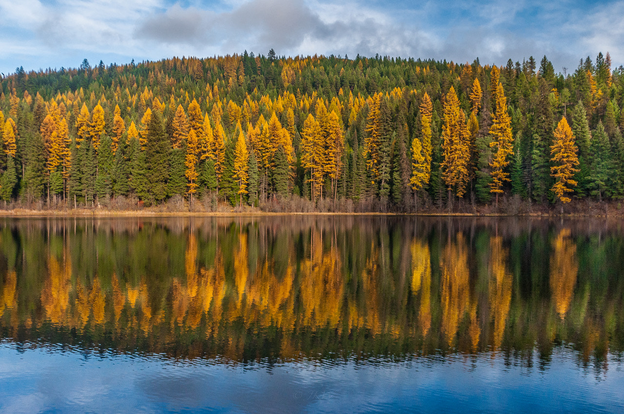 Nikon D5000 sample photo. Fall reflections photography