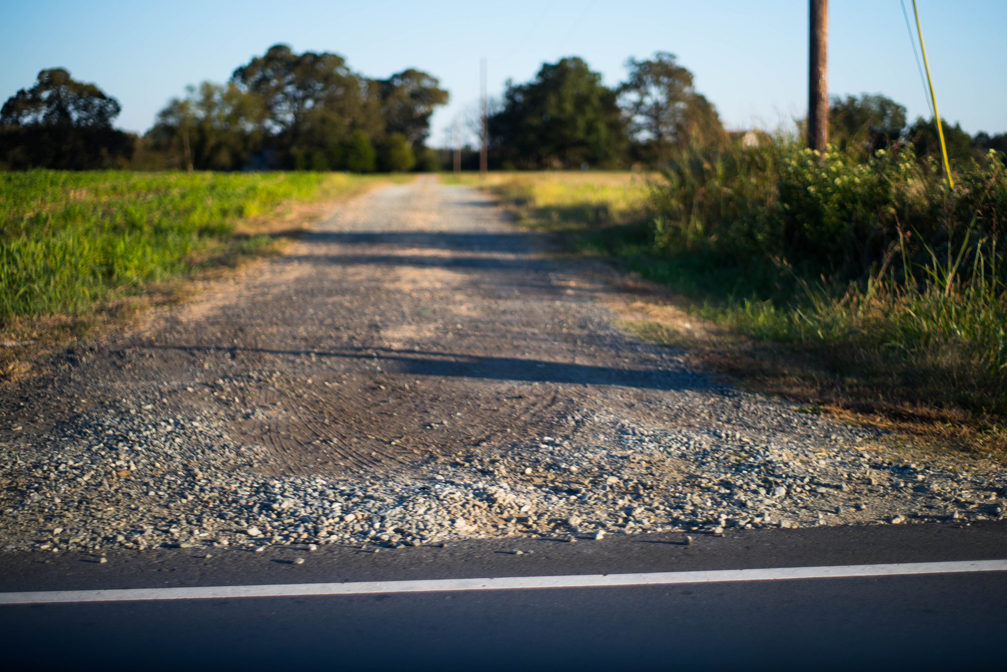 smc PENTAX-F 50mm F1.7 sample photo. Photos from daily life photography