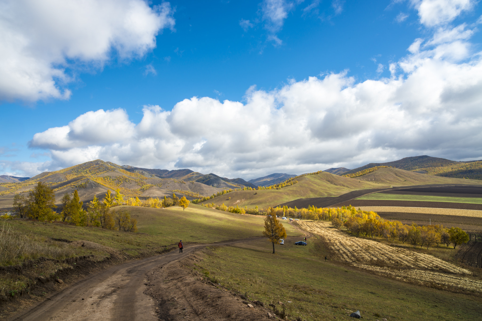 Nikon D800 sample photo. Far and near photography