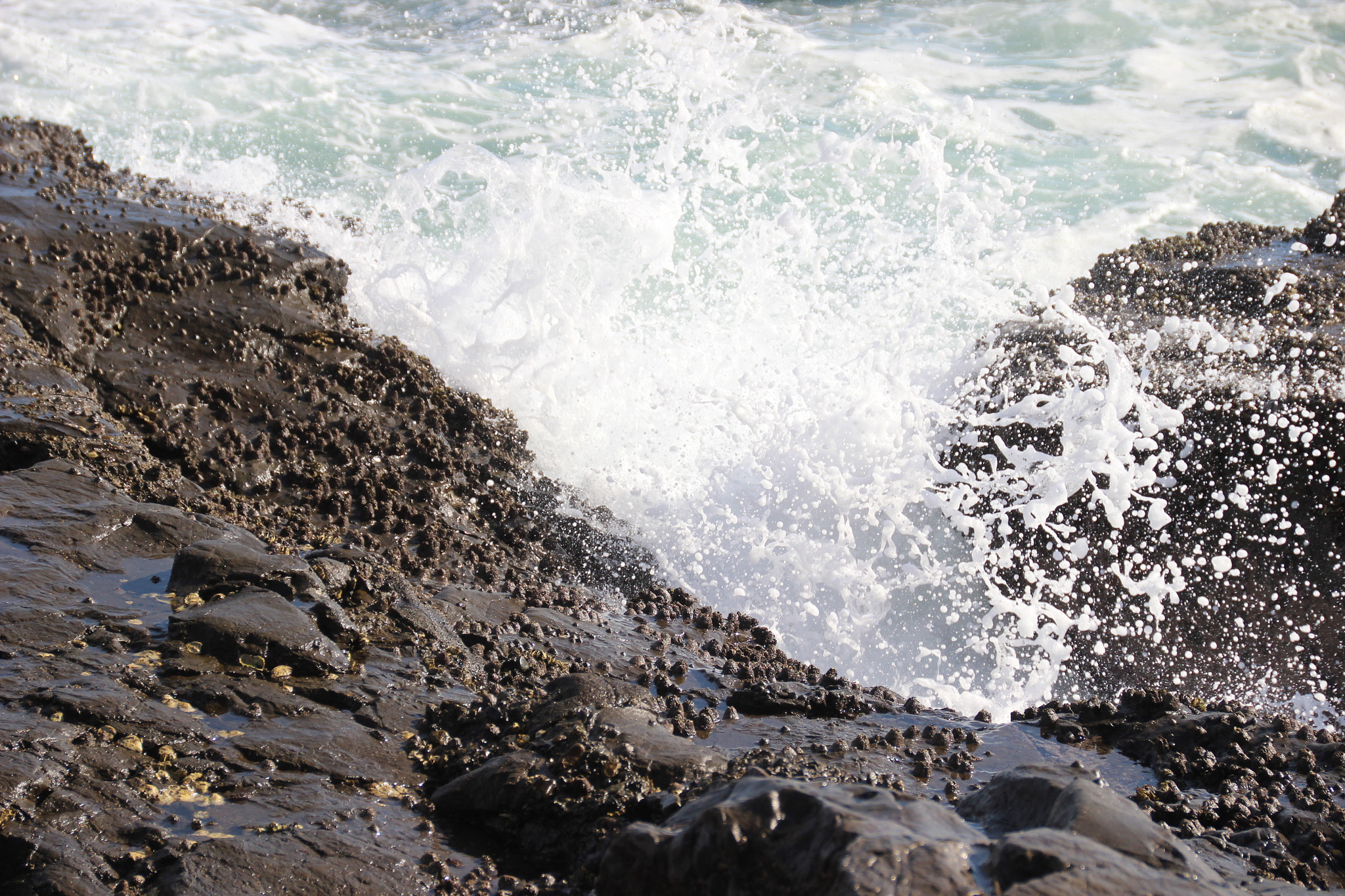 Canon EOS 600D (Rebel EOS T3i / EOS Kiss X5) sample photo. Rough sea photography