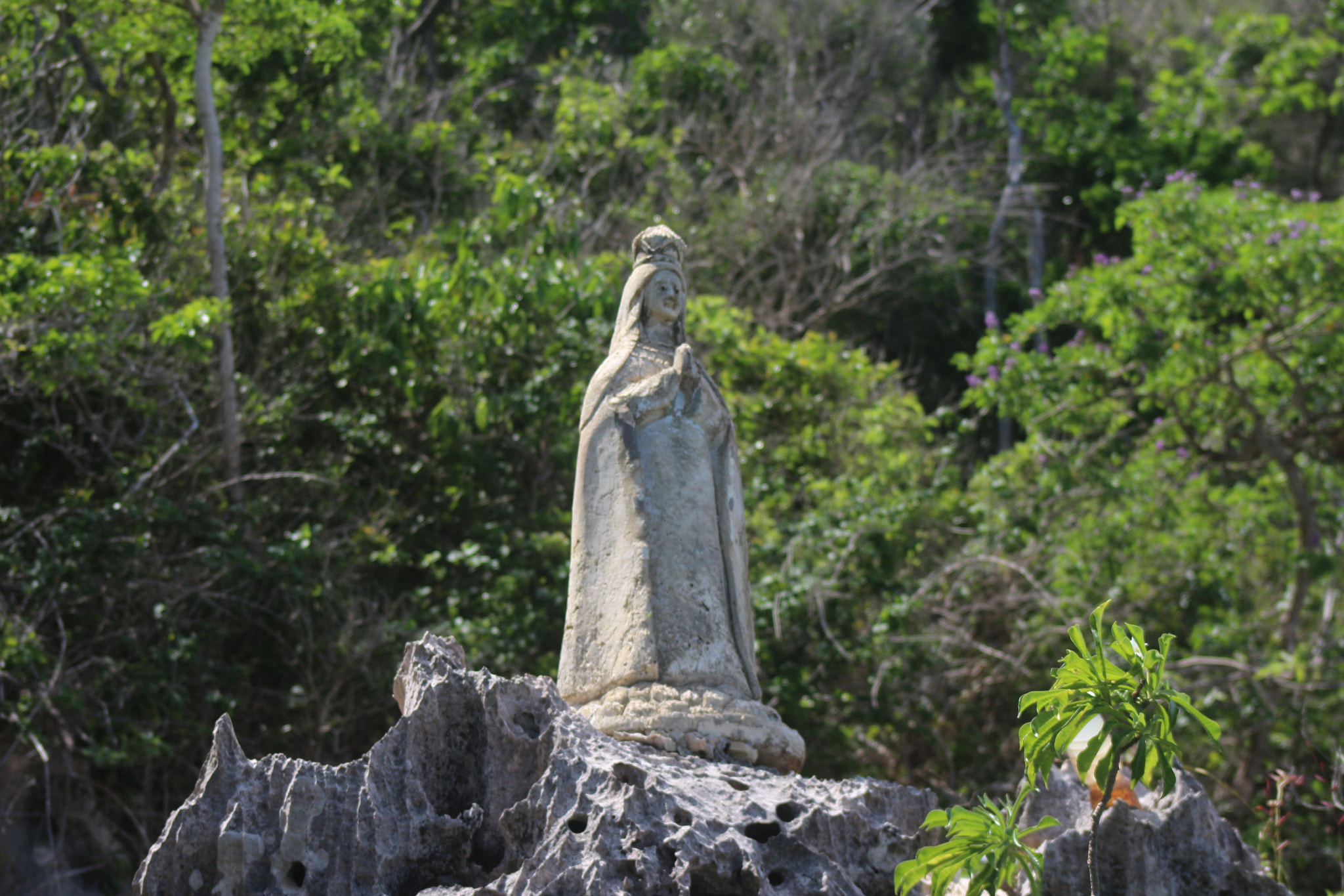 Canon EOS 650D (EOS Rebel T4i / EOS Kiss X6i) + EF75-300mm f/4-5.6 sample photo. La virgen del valle iii photography