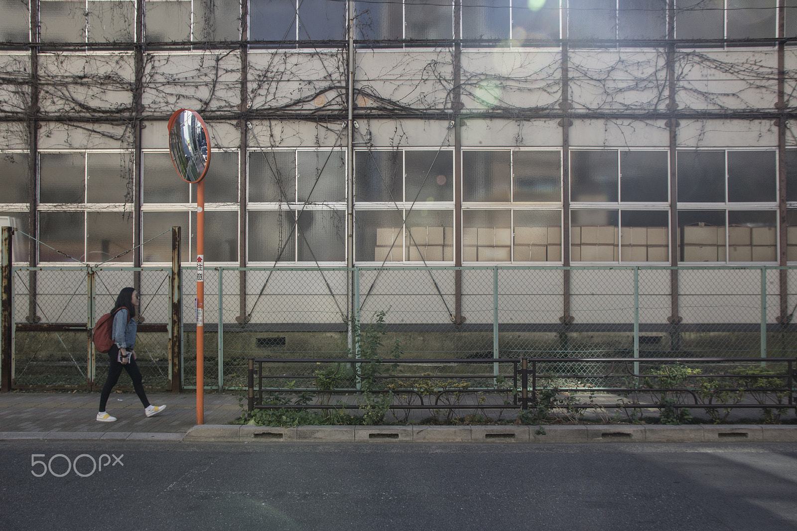 Sigma 17-70mm F2.8-4 DC Macro OS HSM sample photo. Walk photography