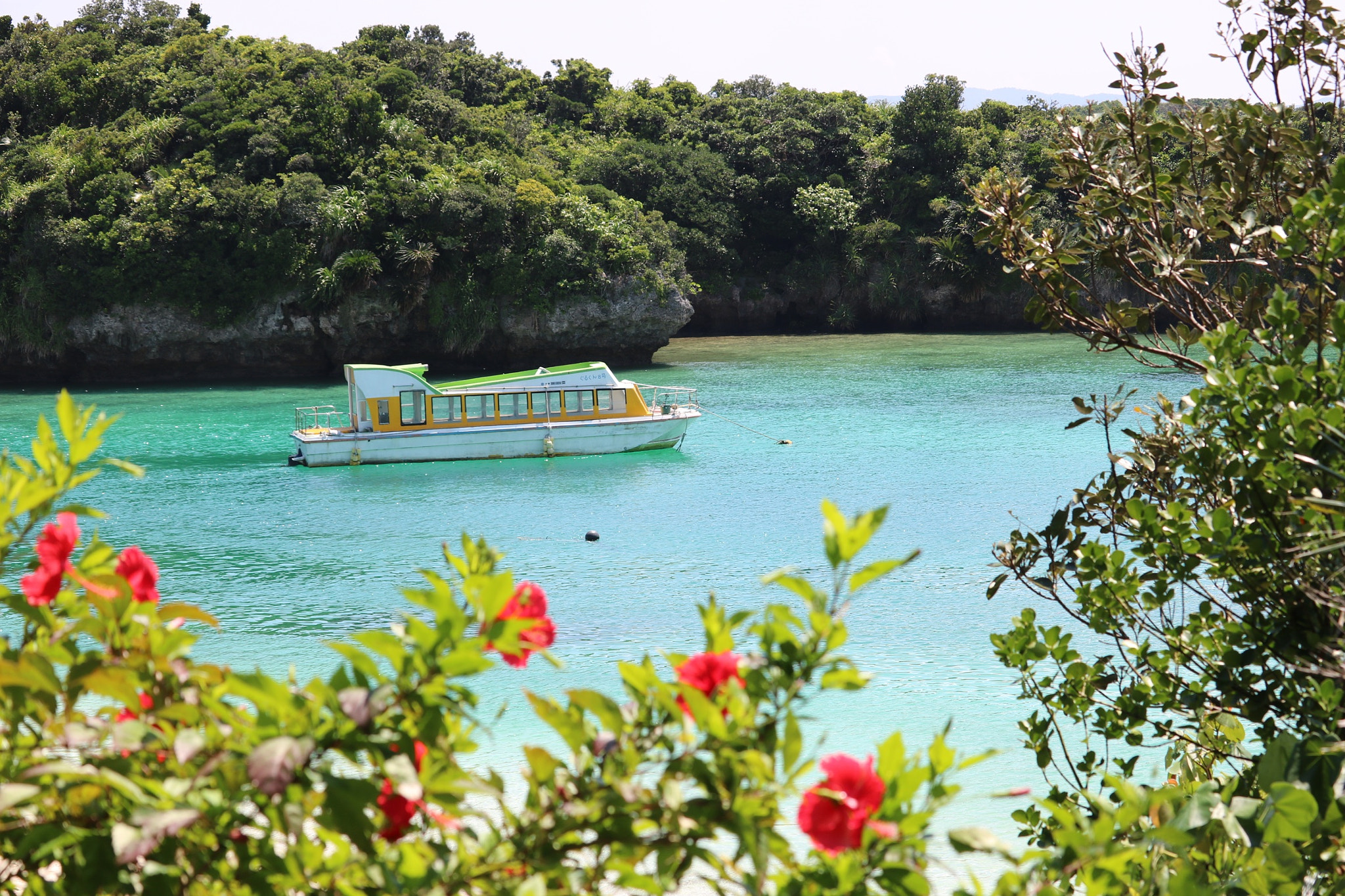 Canon EOS 750D (EOS Rebel T6i / EOS Kiss X8i) + Canon EF-S 55-250mm F4-5.6 IS STM sample photo. Kabira bay photography