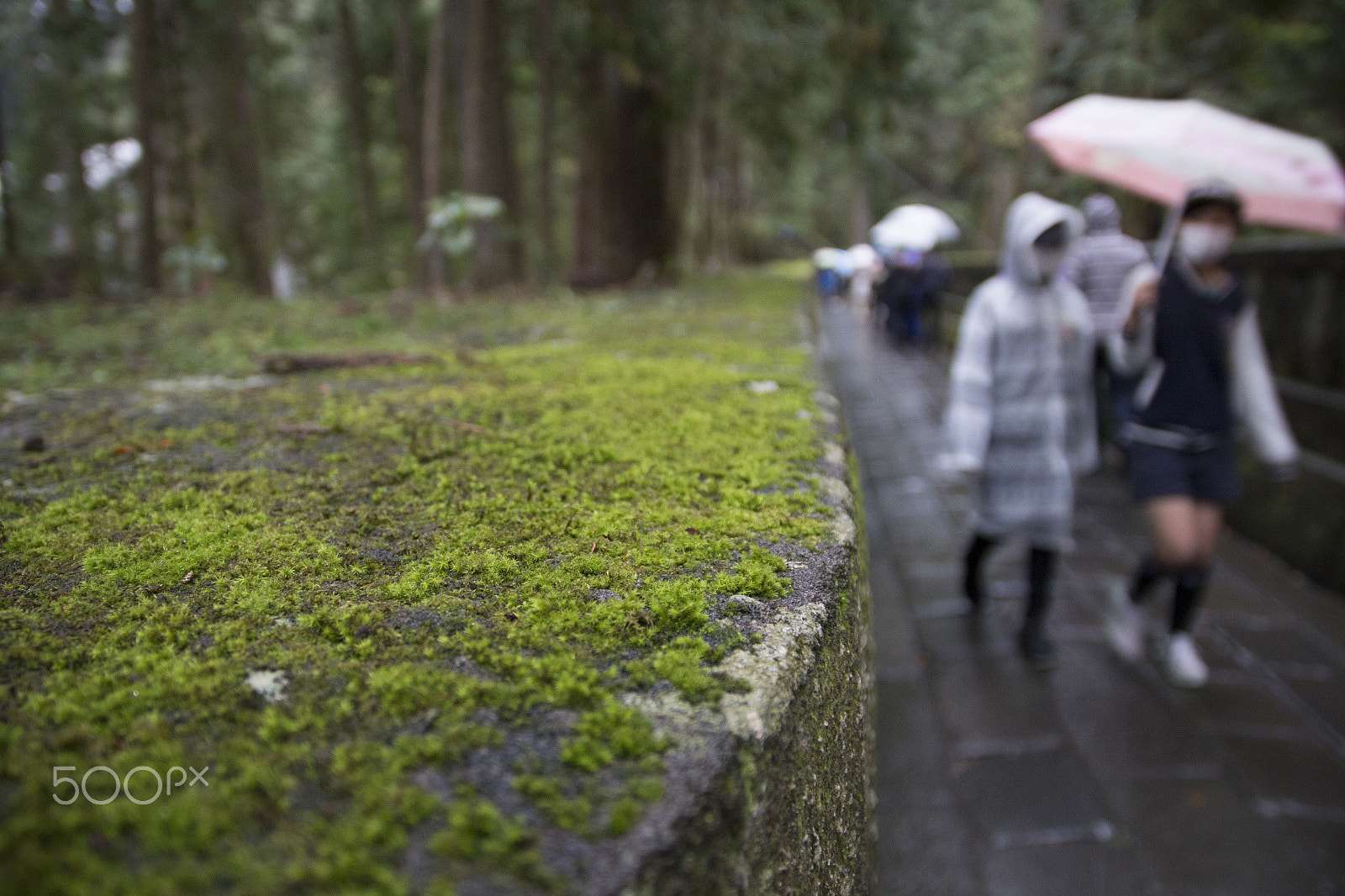 Sigma 17-70mm F2.8-4 DC Macro OS HSM sample photo. Nikko temple photography
