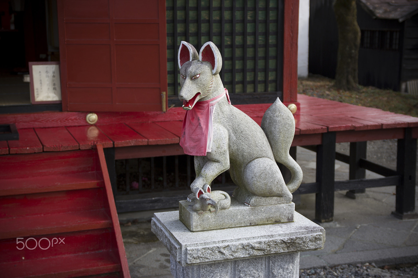 Sigma 17-70mm F2.8-4 DC Macro OS HSM sample photo. Fox photography