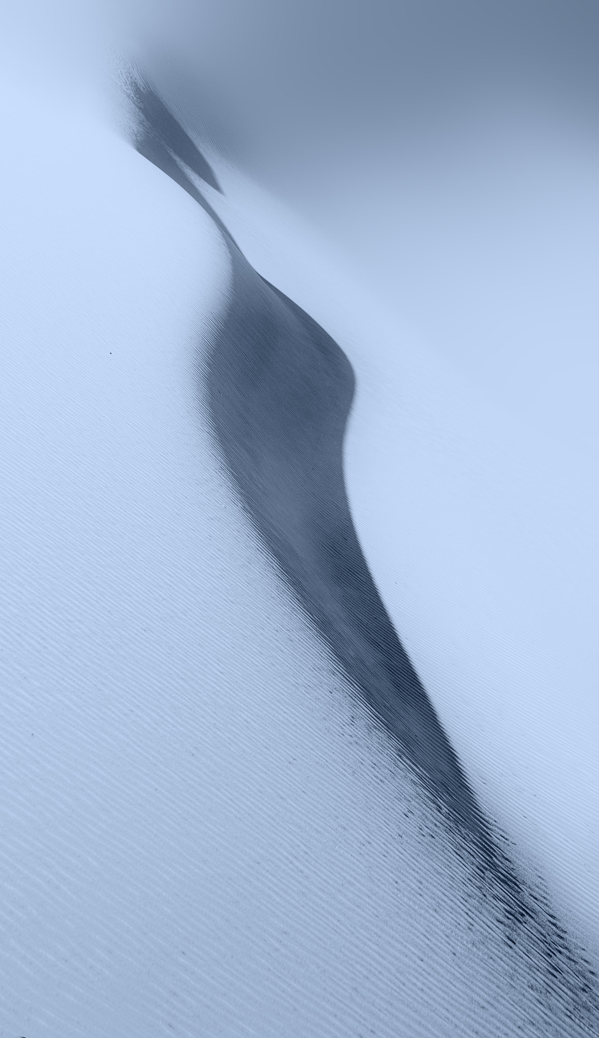 Phase One P65+ sample photo. Shadow photography