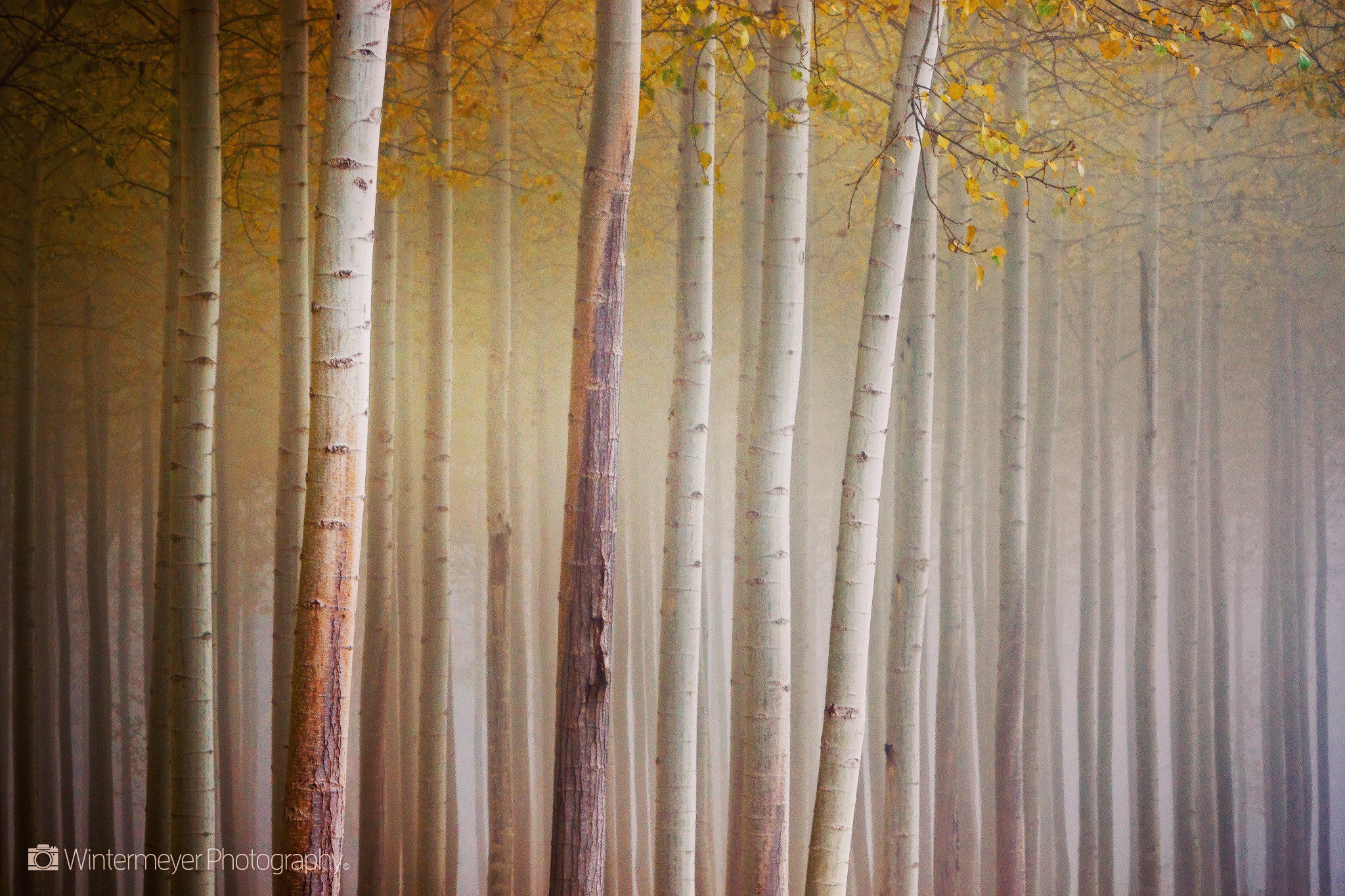 Canon EF 70-200mm F2.8L IS USM sample photo. Autumn calm photography