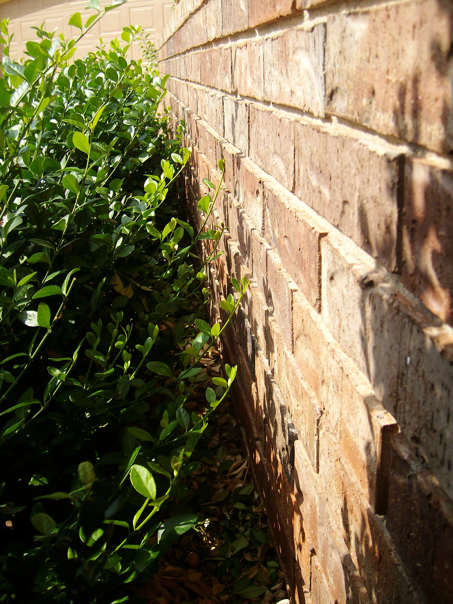 SANYO E760 sample photo. Sanyo digital camera photography