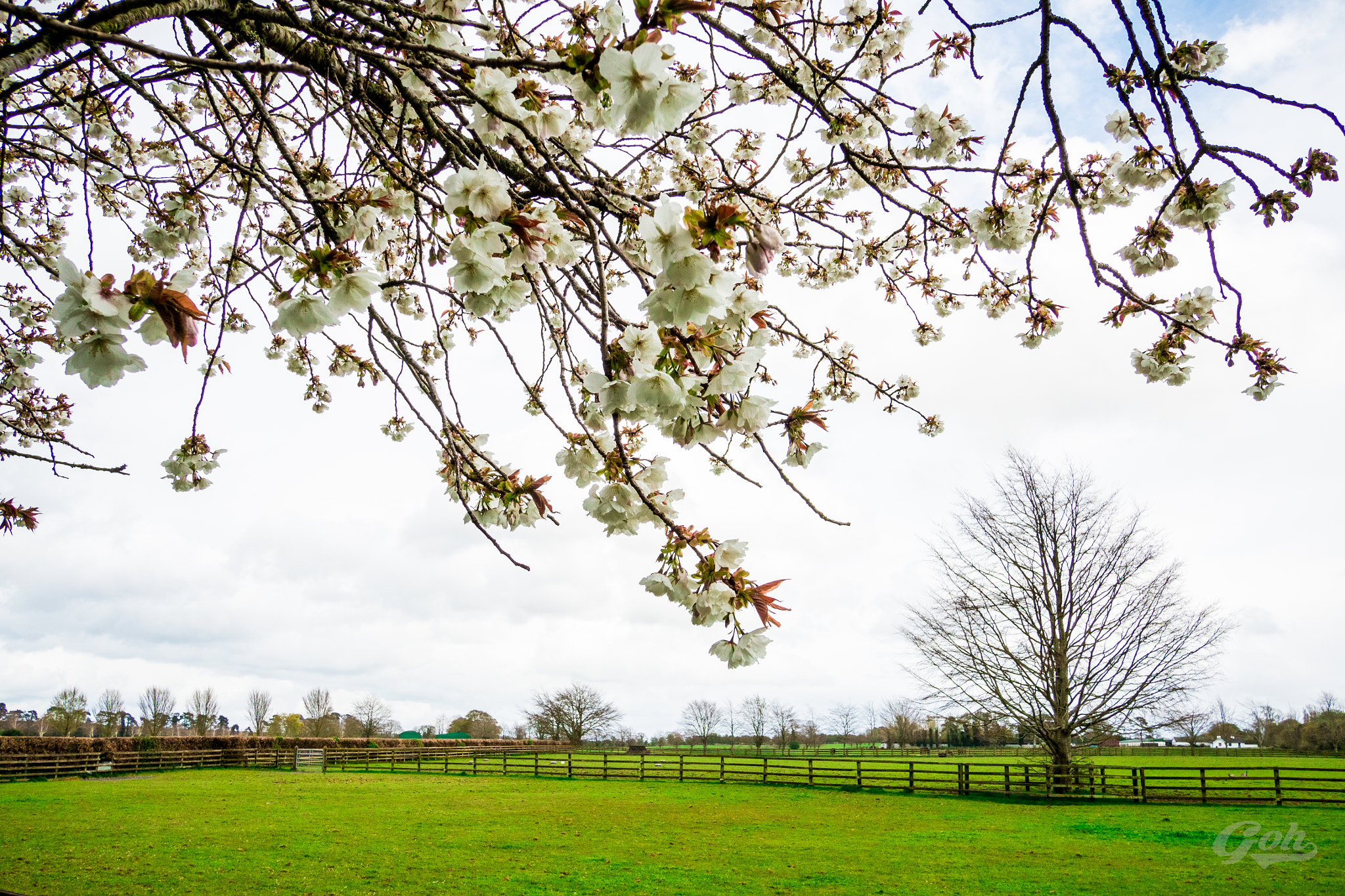 Olympus OM-D E-M5 II + Panasonic Lumix G 14mm F2.5 ASPH sample photo. Ireland outdoor photography