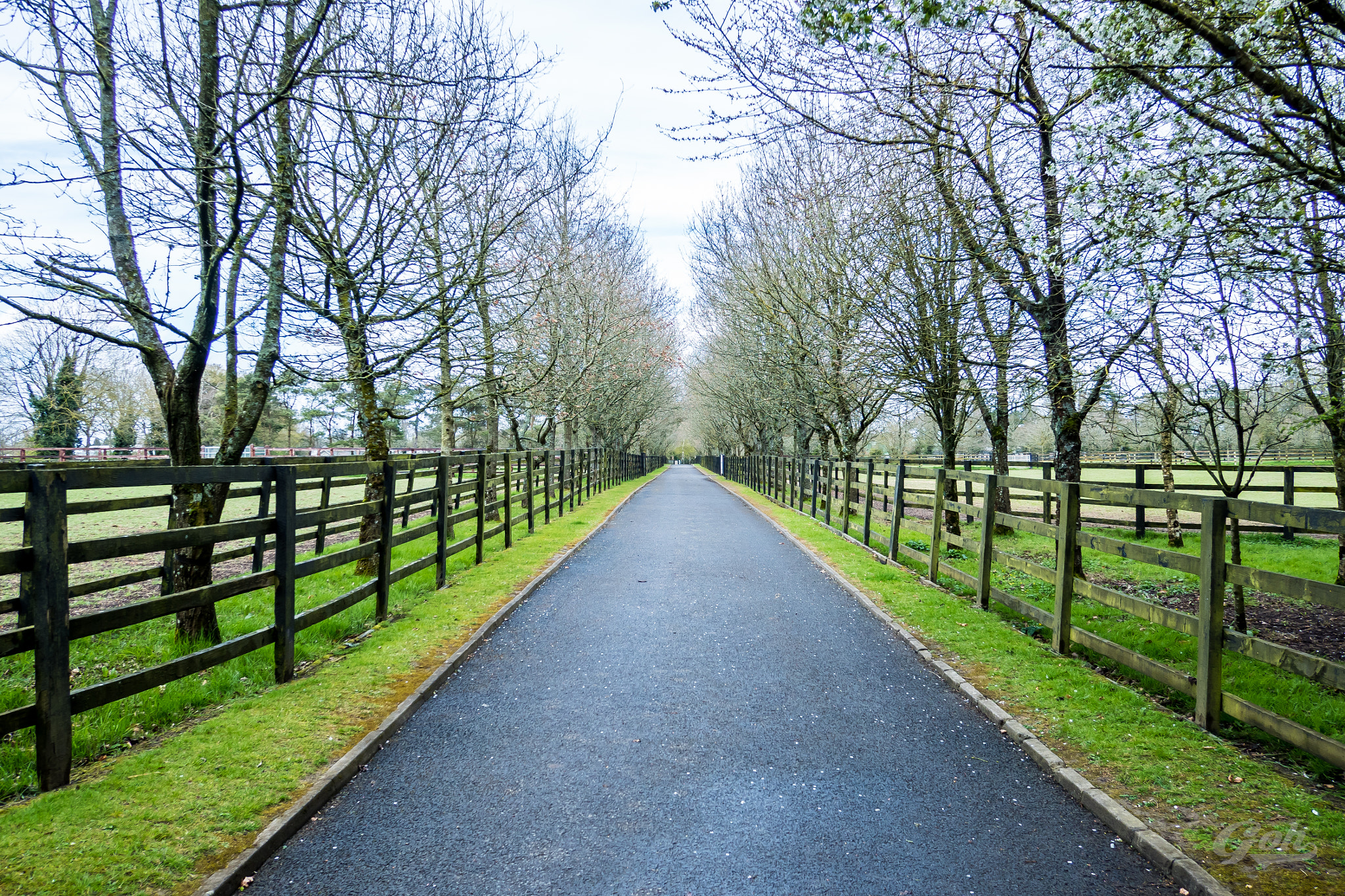 Olympus OM-D E-M5 II + Panasonic Lumix G 14mm F2.5 ASPH sample photo. Ireland outdoor photography