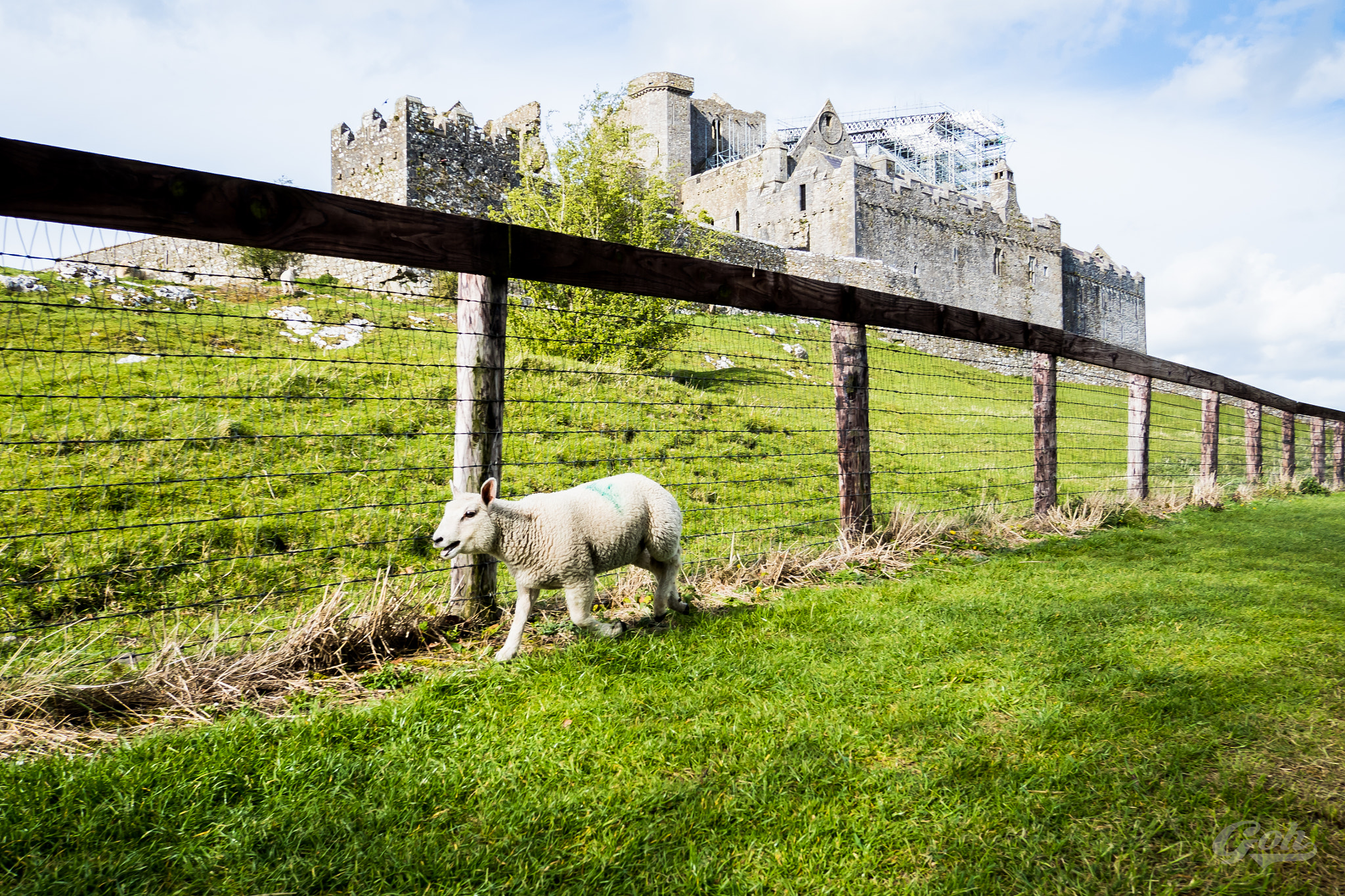 Olympus OM-D E-M5 II + Panasonic Lumix G 14mm F2.5 ASPH sample photo. Ireland historic castle photography