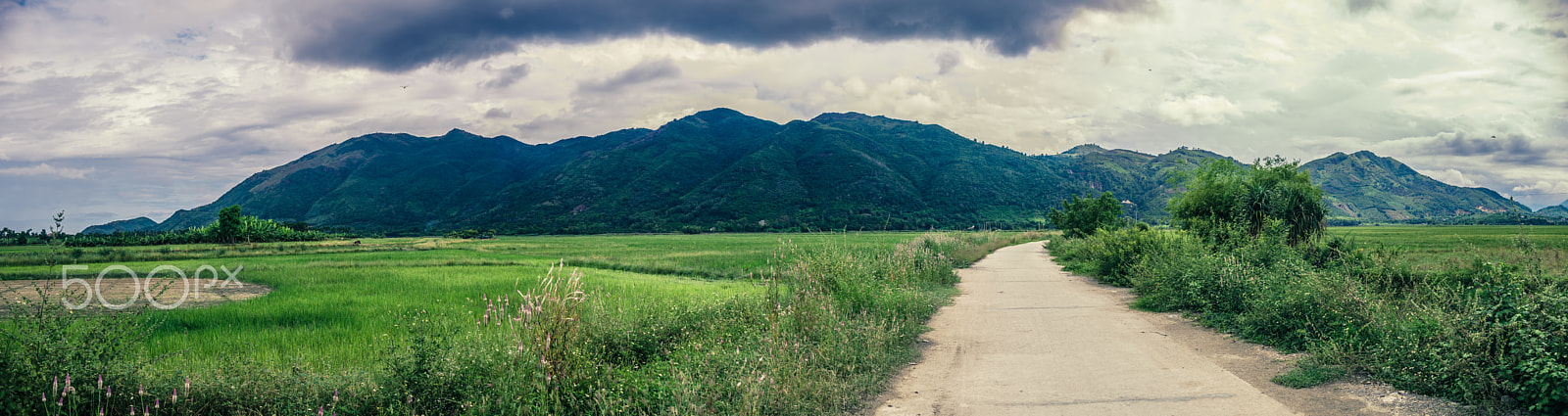 Sigma 30mm F2.8 EX DN sample photo. Winding photography