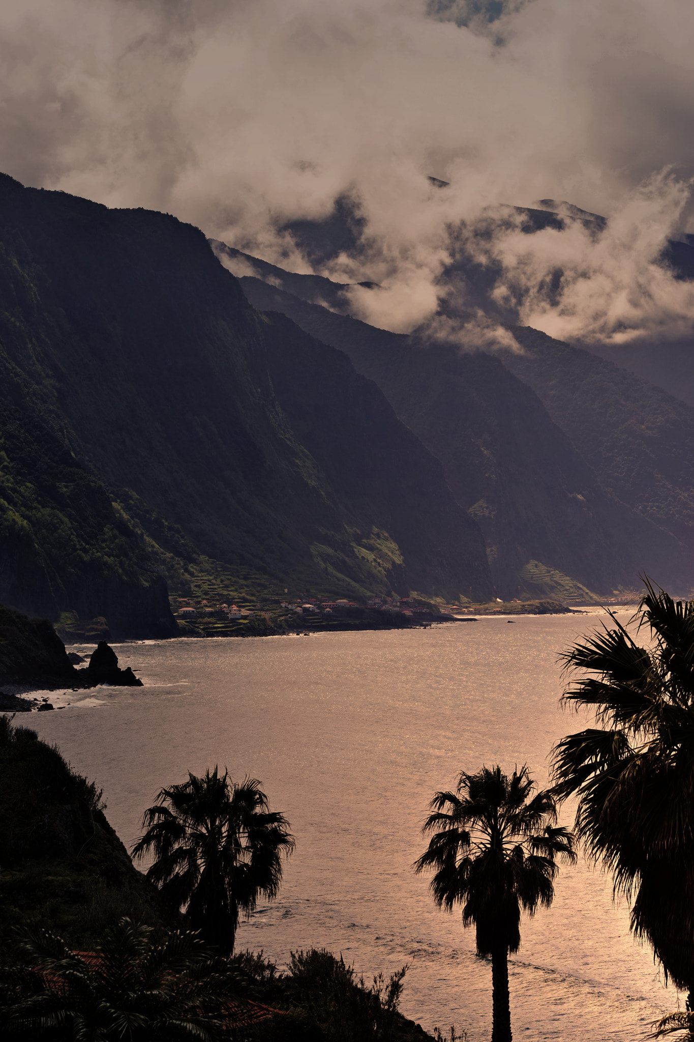 Nikon D5300 + Sigma 50mm F2.8 EX DG Macro sample photo. Coast madeira photography