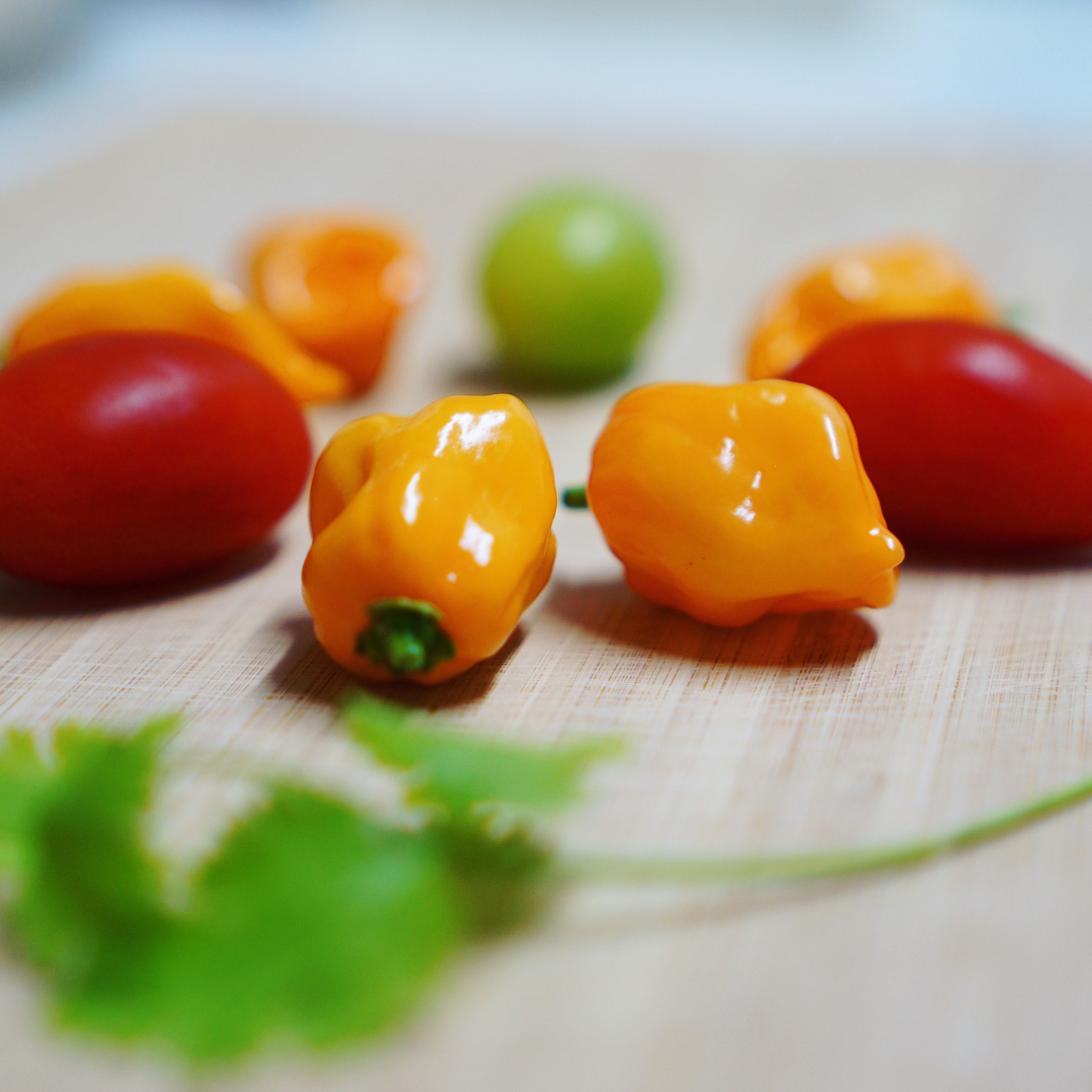 Sony Alpha NEX-5T + Sony E 35mm F1.8 OSS sample photo. I had a garden-fresh habanero. photography