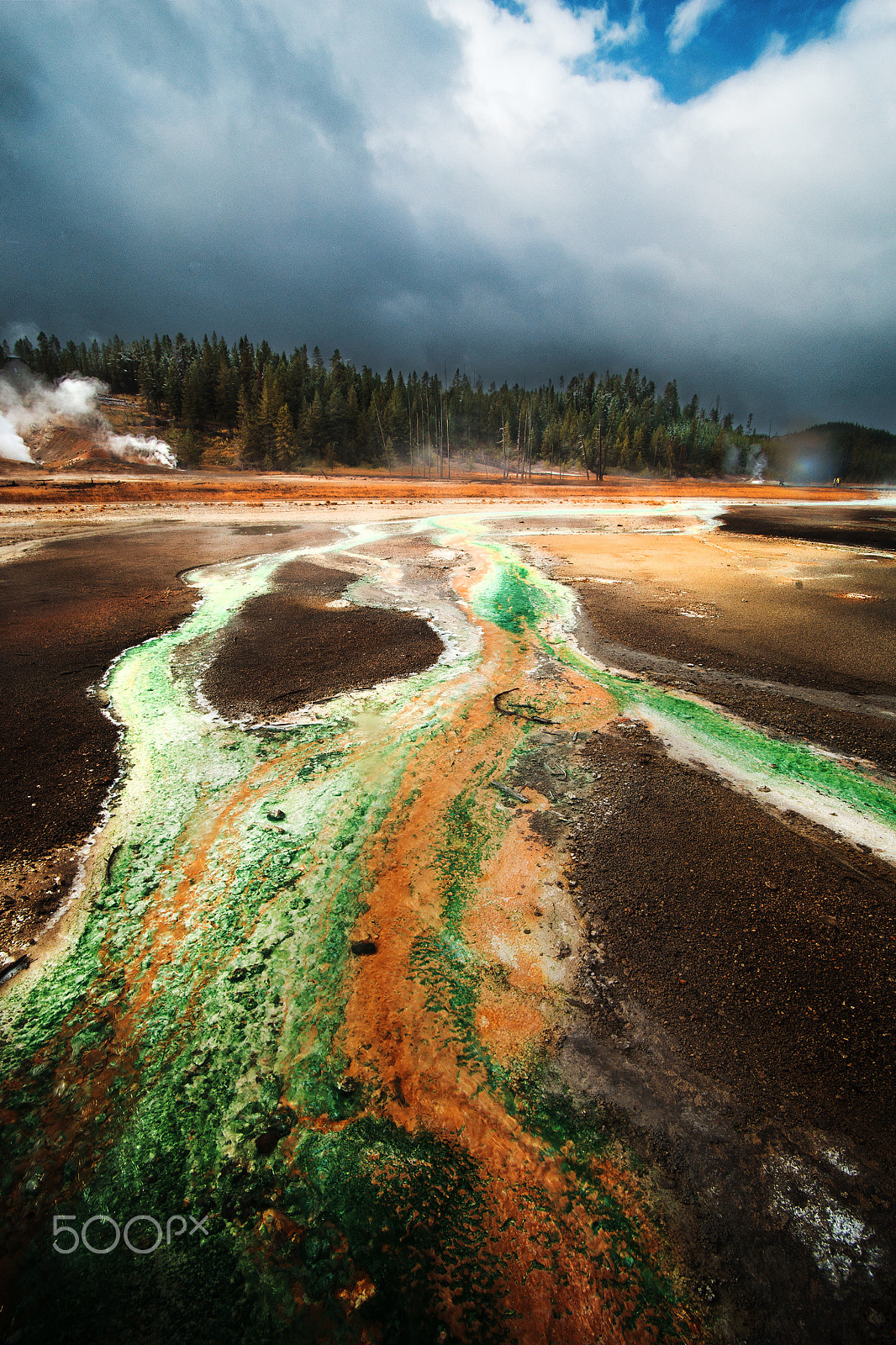 Sony a99 II + Minolta AF 17-35mm F2.8-4 (D) sample photo. Yellowstone3 photography