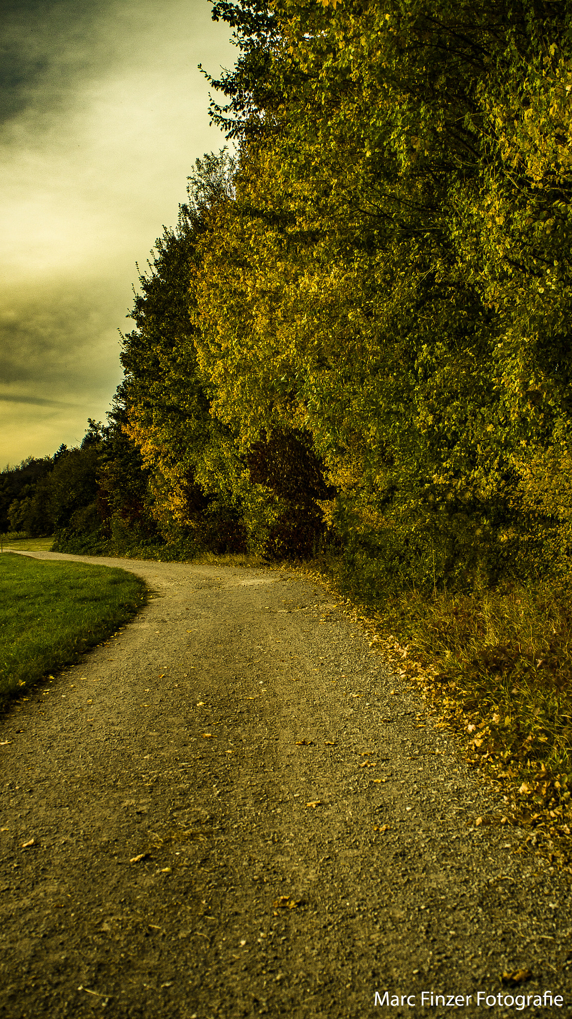 Sony SLT-A58 sample photo. Fall photography