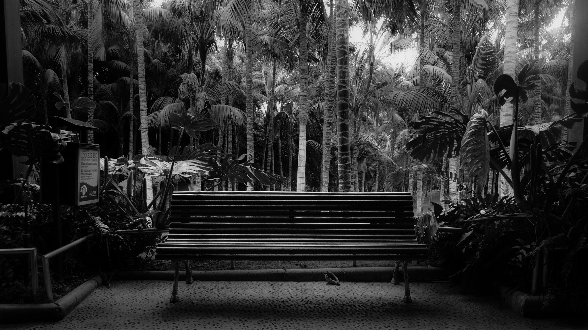 LUMIX G VARIO PZ 14-42/F3.5-5.6 sample photo. Take a seat and relax photography