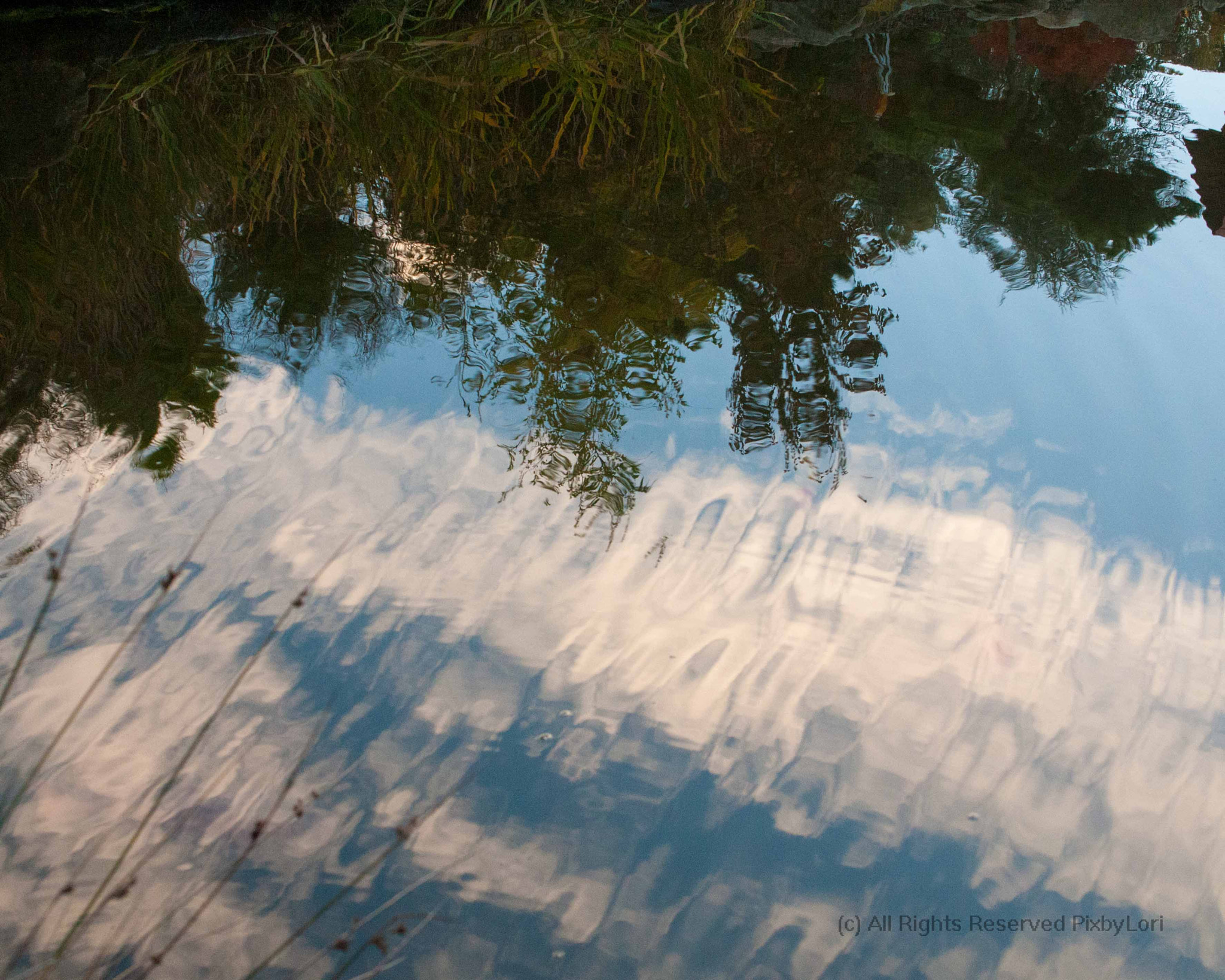 Nikon AF-S DX Micro Nikkor 40mm F2.8 sample photo. Daydreaming photography