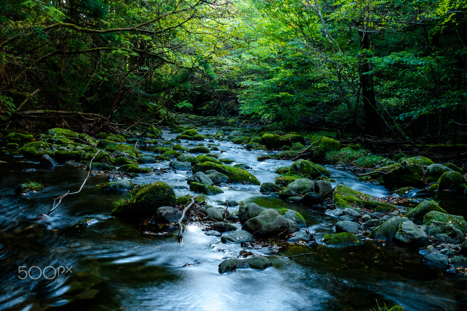 Panasonic Lumix DMC-GX7 sample photo. Stream#2 photography