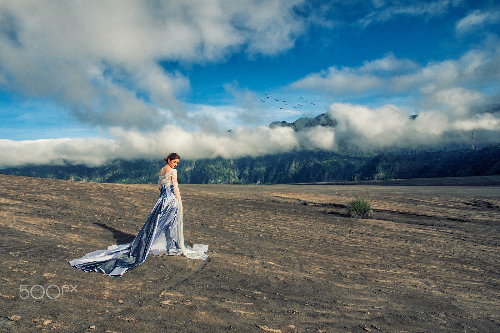 Sigma 17-70mm F2.8-4 DC Macro HSM | C sample photo. Lost in paradise ii photography