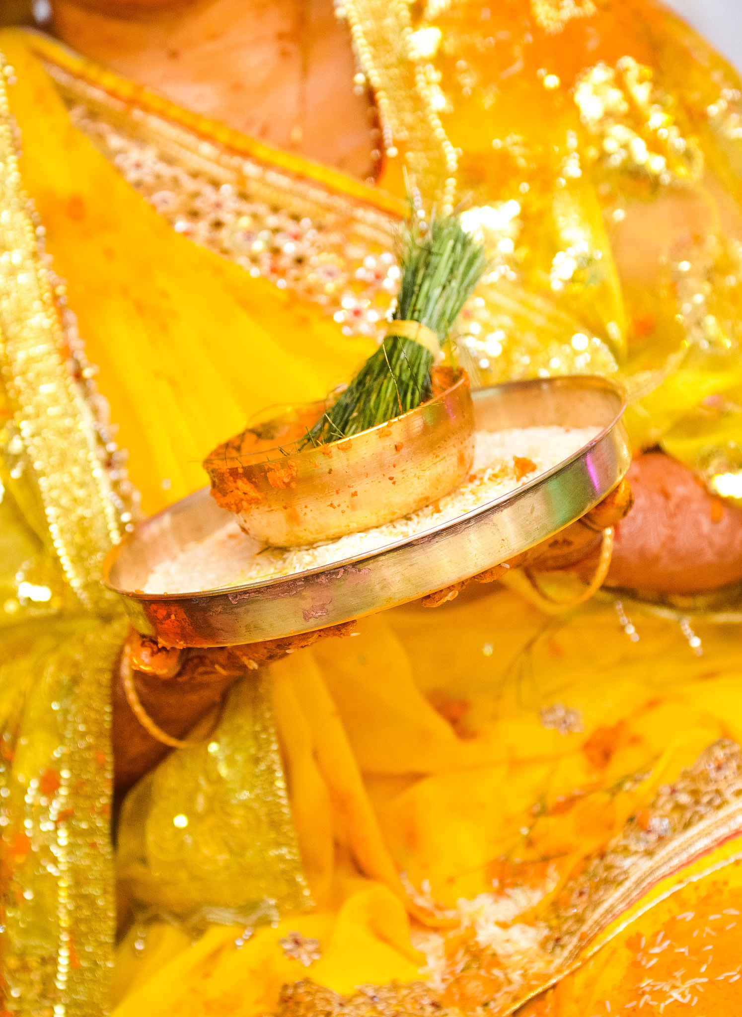 Sigma 70-200mm F2.8 EX DG OS HSM sample photo. Haldi photography