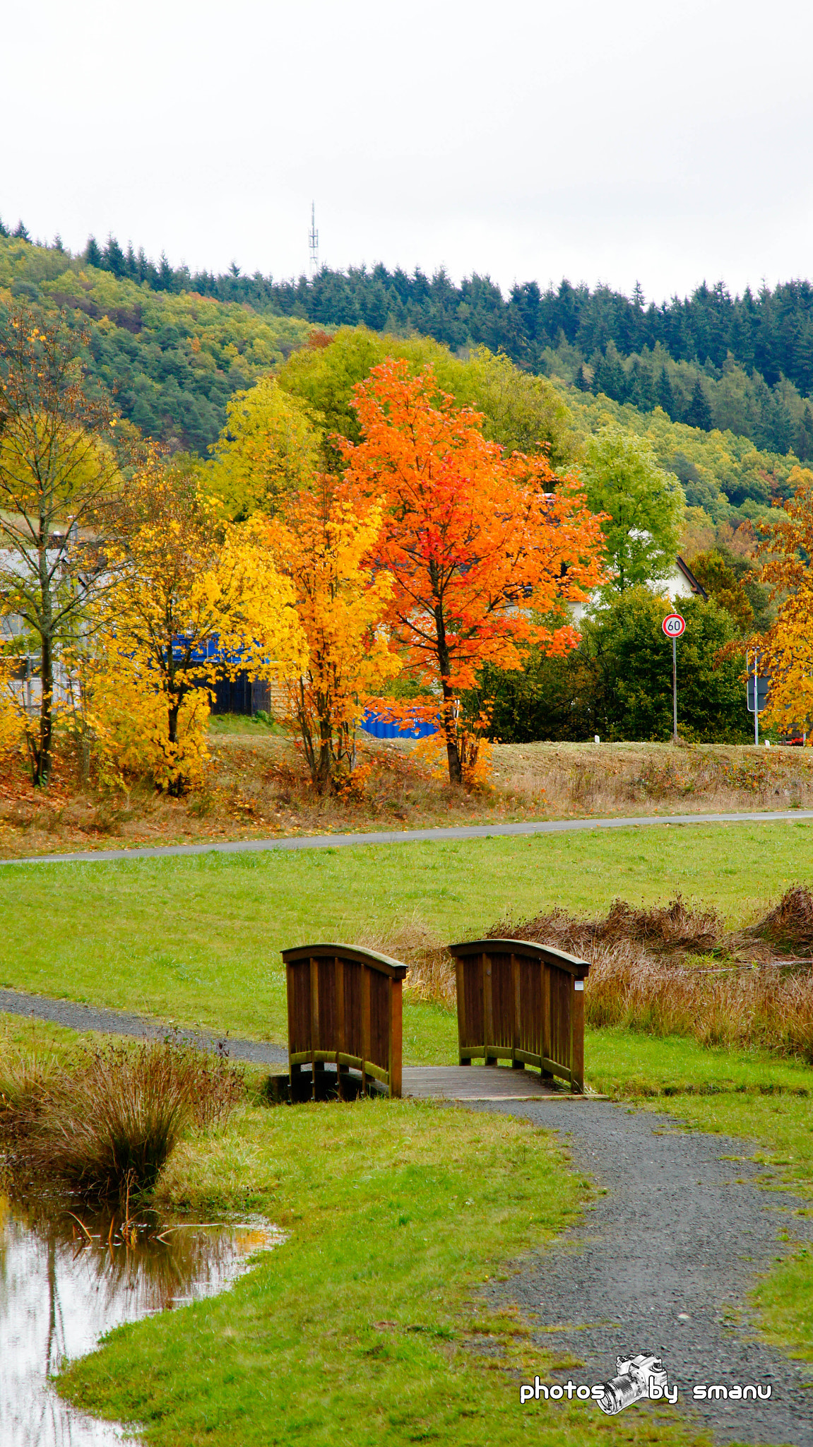 Sony SLT-A55 (SLT-A55V) sample photo. The fall is using the paint brush photography