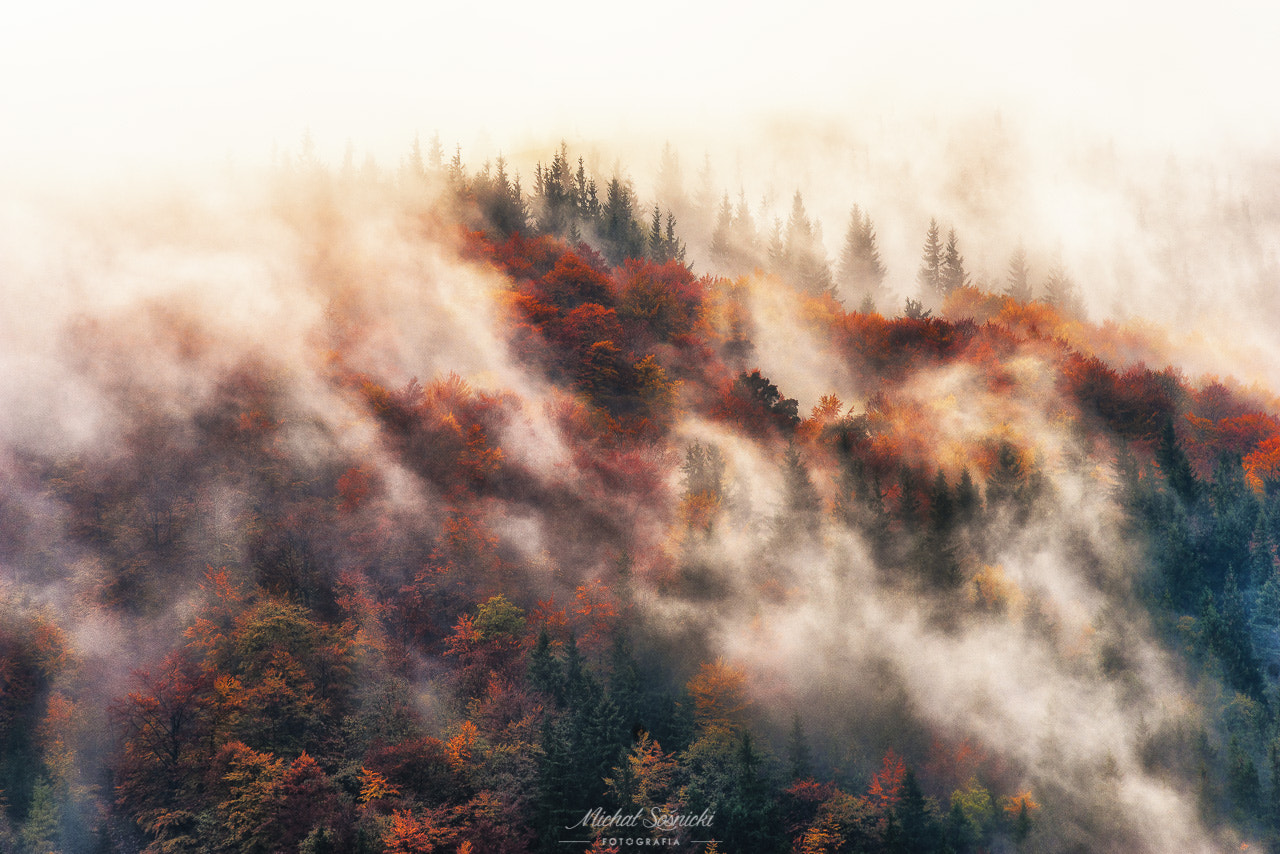 Pentax K-1 + Sigma EX APO 100-300mm F4 IF sample photo. Autumn... photography