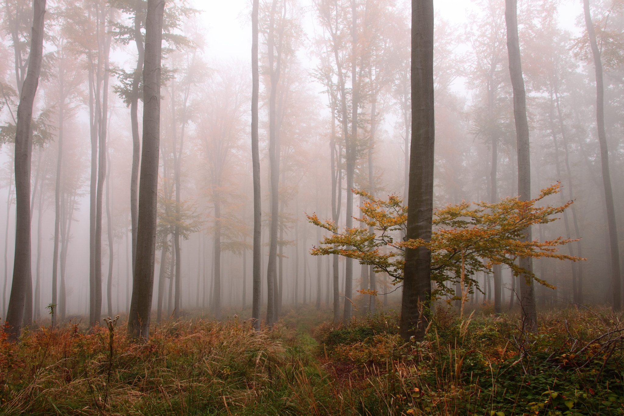 Canon EOS 50D sample photo. Autumn photography