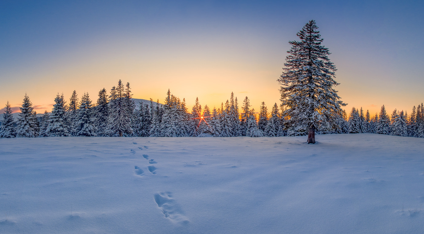 Pentax smc DA 14mm F2.8 ED (IF) sample photo. Winterpanorama photography