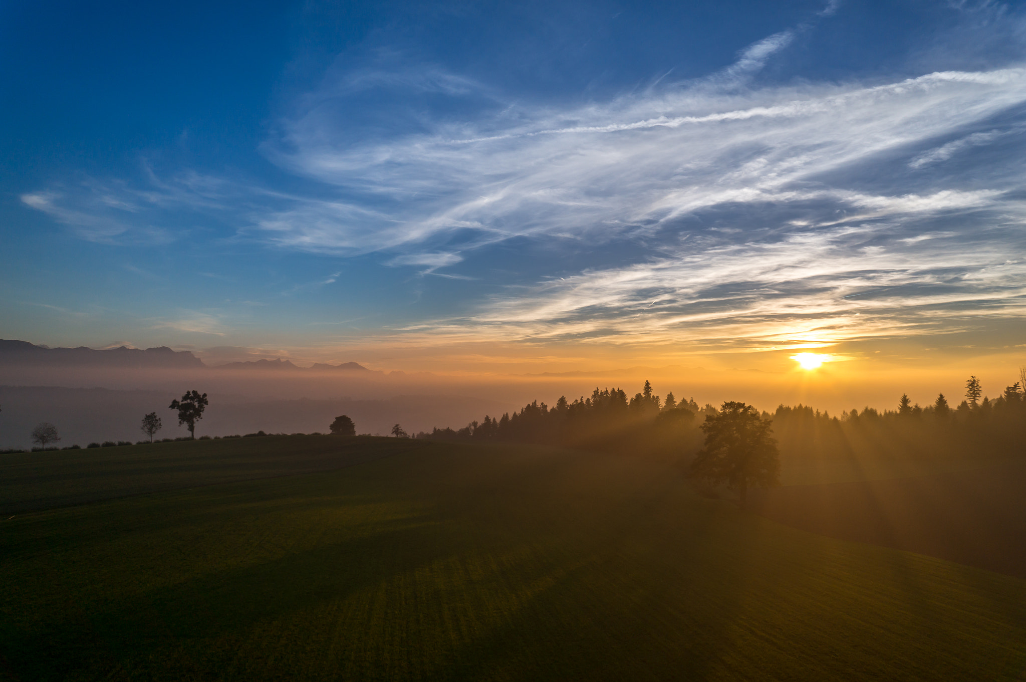 Sony Alpha NEX-5T sample photo. Rays of sunshine photography