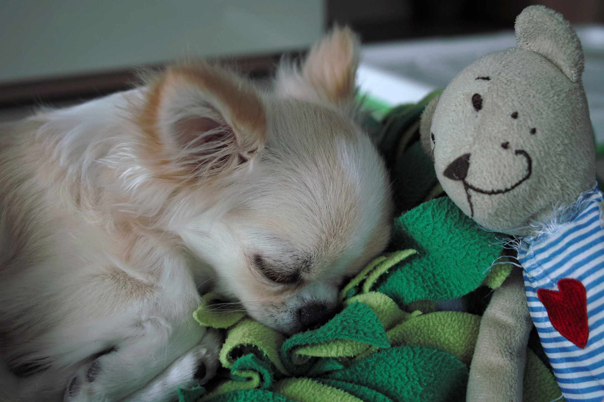 Sigma DP2 sample photo. Tori with friend photography