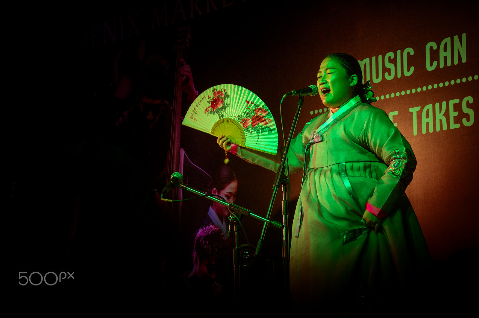 Sony SLT-A57 + Tamron 18-270mm F3.5-6.3 Di II PZD sample photo. World music ensemble photography