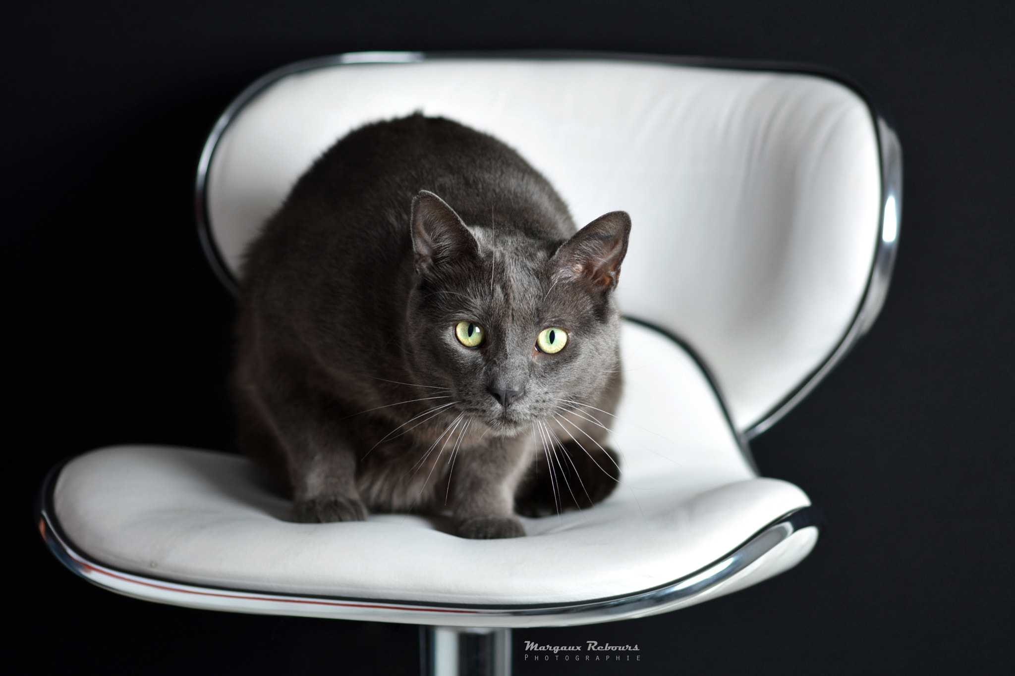 AF Zoom-Nikkor 24-50mm f/3.3-4.5D sample photo. Soft look photography