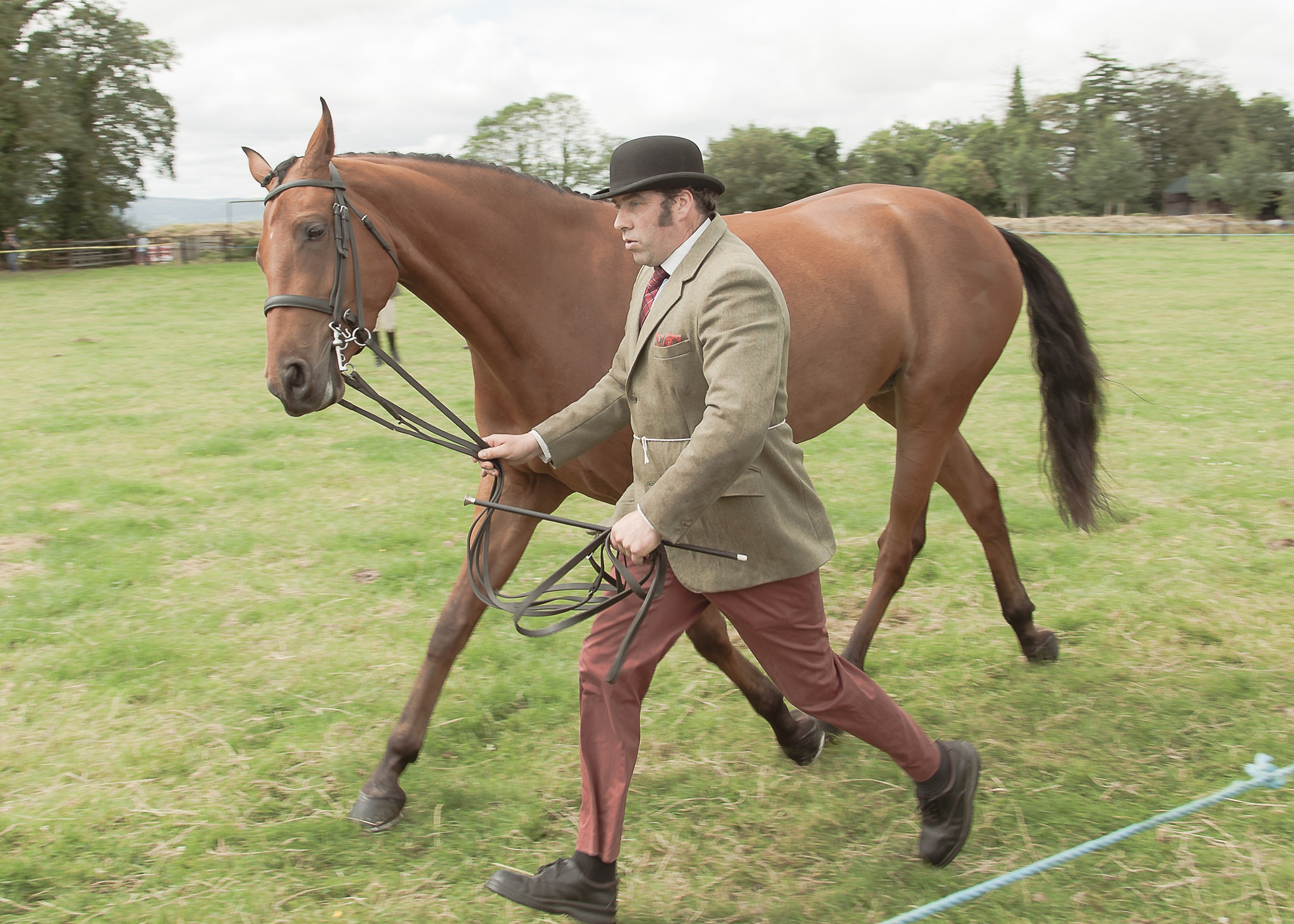 Canon EOS-1Ds Mark III sample photo. Man leading a horse at a show in newcastle west in ireland photography