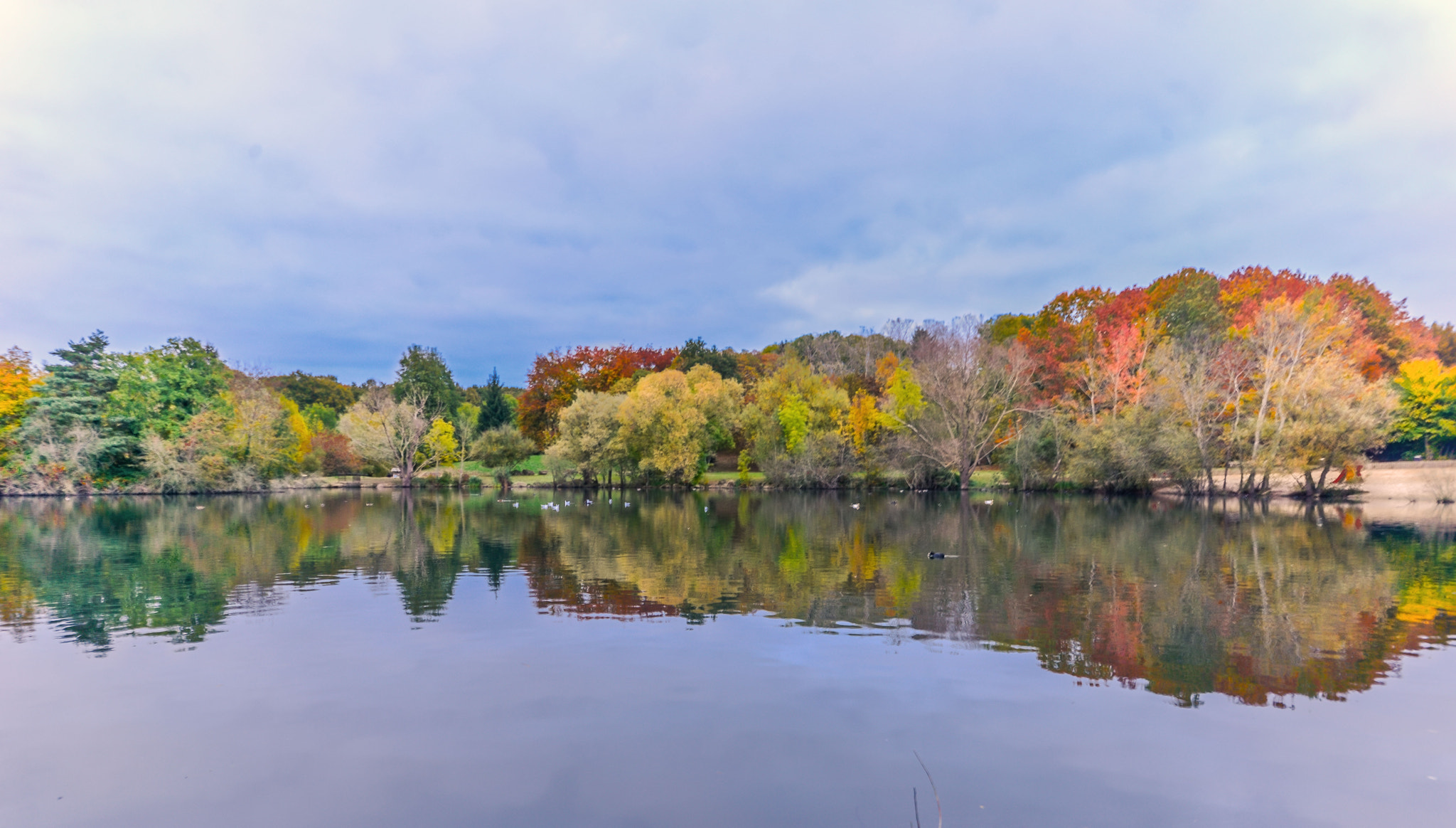 Nikon D600 + Sigma 12-24mm F4.5-5.6 II DG HSM sample photo. Aux couleurs de l'automne photography