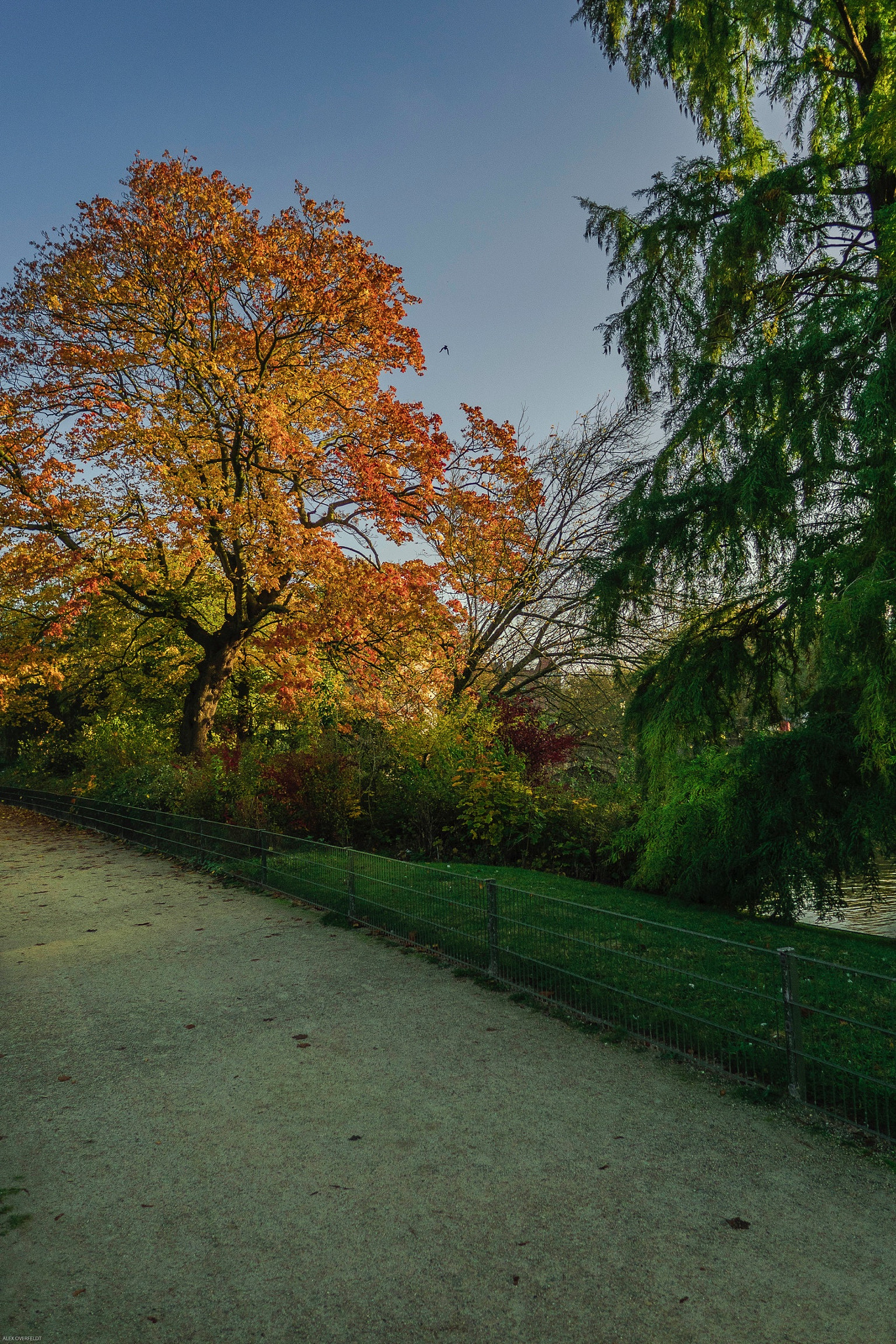 LEICA DG SUMMILUX 12/F1.4 sample photo. Autumn 2016 at the ezelpoort in bruges photography