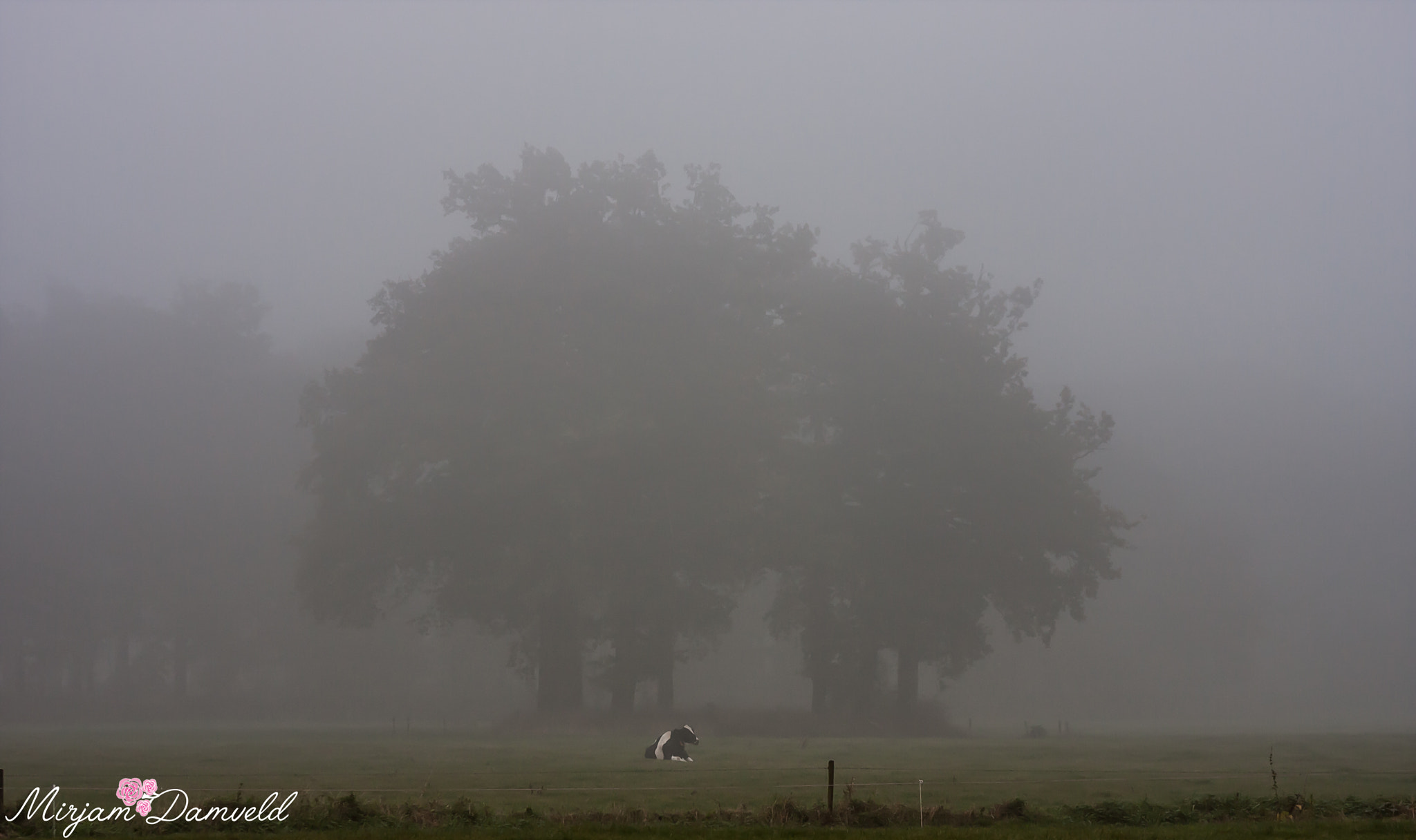 Canon EF 75-300mm f/4-5.6 USM sample photo. Img photography