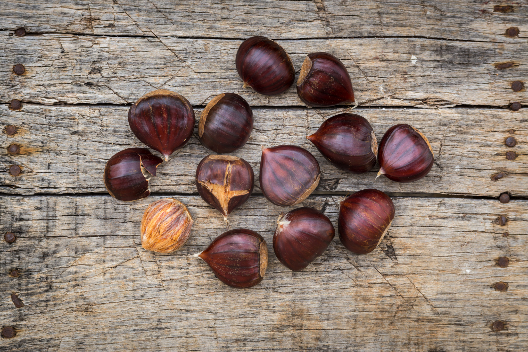 Summicron-M 1:2/90 Leitz sample photo. Fresh raw chestnuts photography
