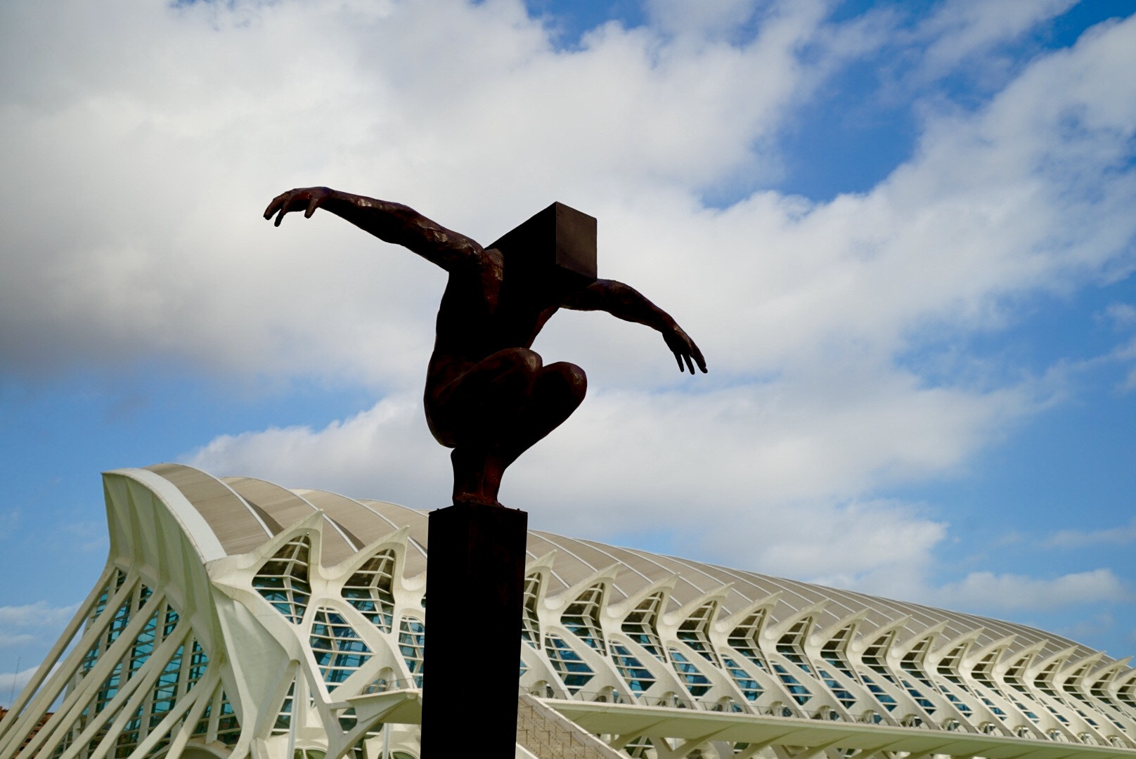 Sony a7 II + Sony Vario-Tessar T* FE 16-35mm F4 ZA OSS sample photo. Just landed photography