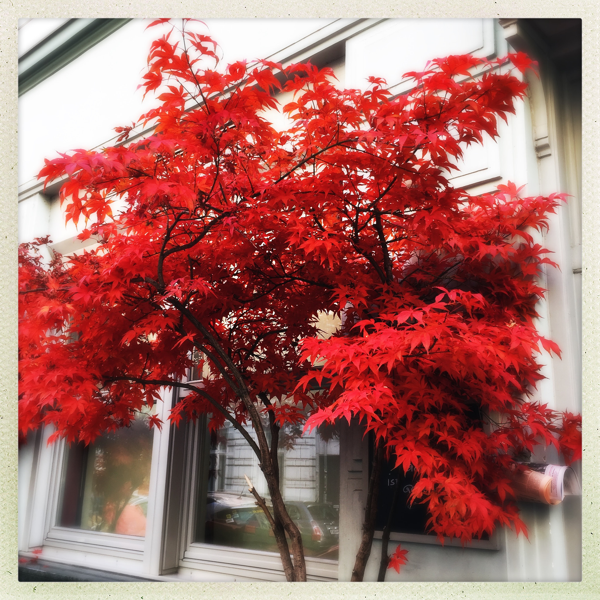 Hipstamatic 302 sample photo. Quiet red in the city photography