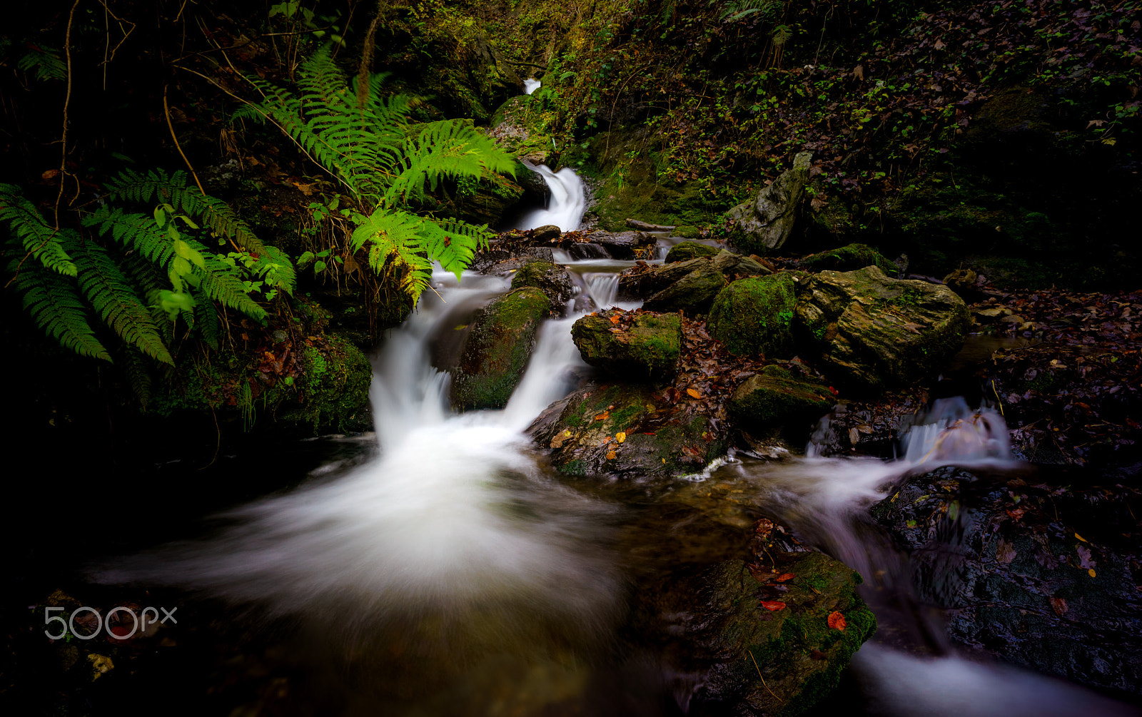 Sony a7R + E 21mm F2.8 sample photo. Sillschlucht photography