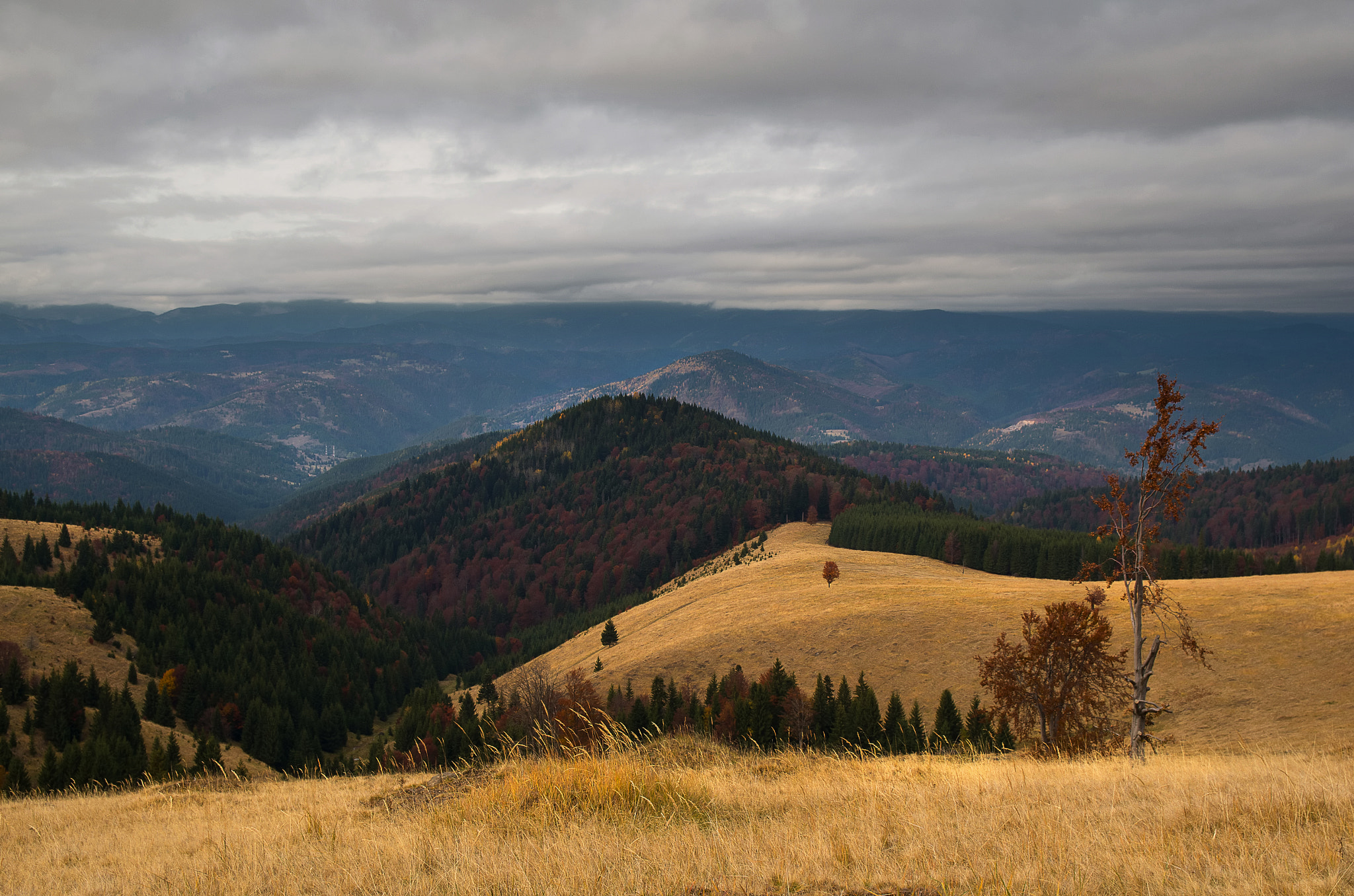 Sigma 17-50mm F2.8 EX DC HSM sample photo. Autumn sadness photography