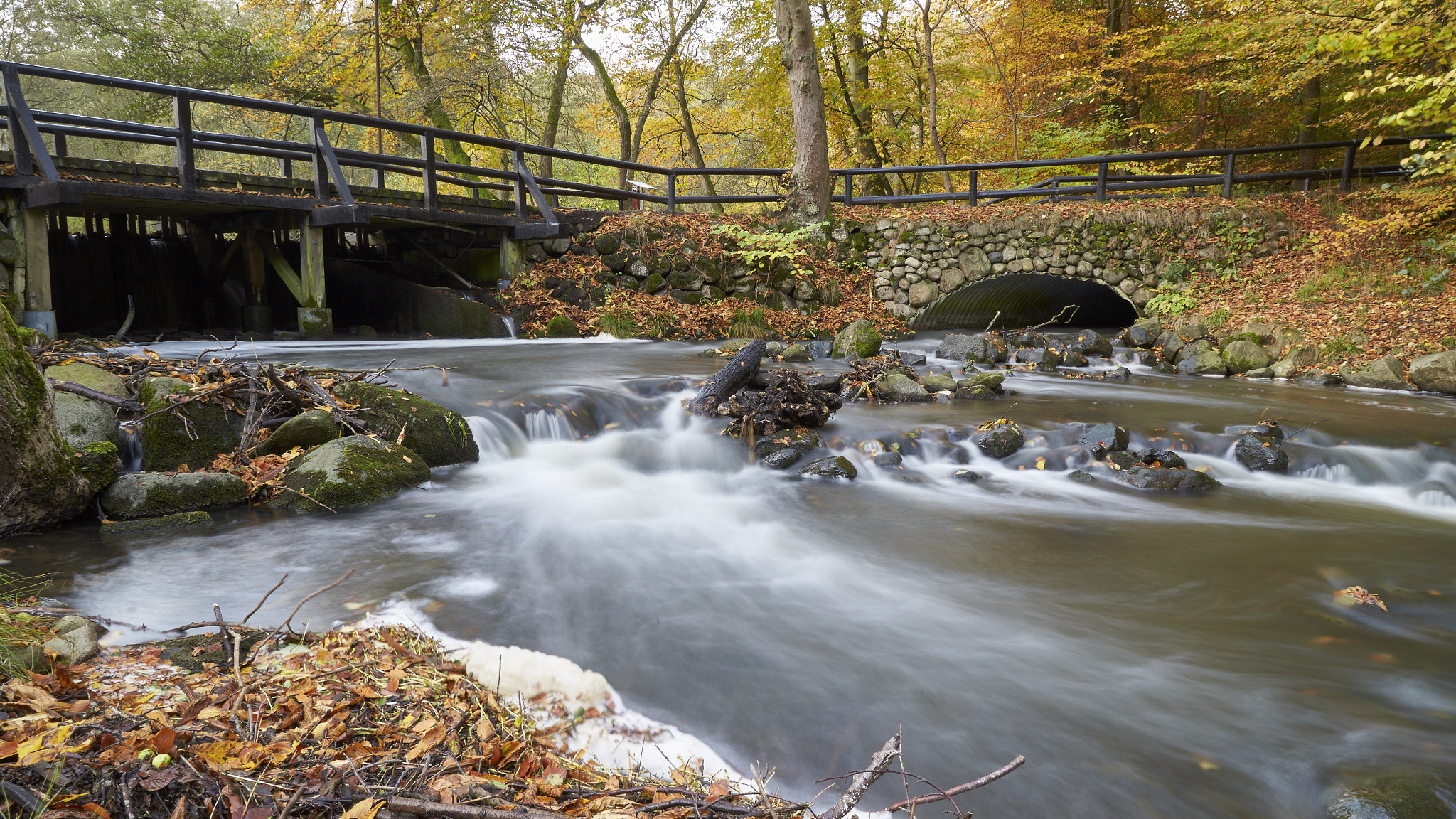 Sigma 24-105mm F4 DG OS HSM Art sample photo. Calm photography